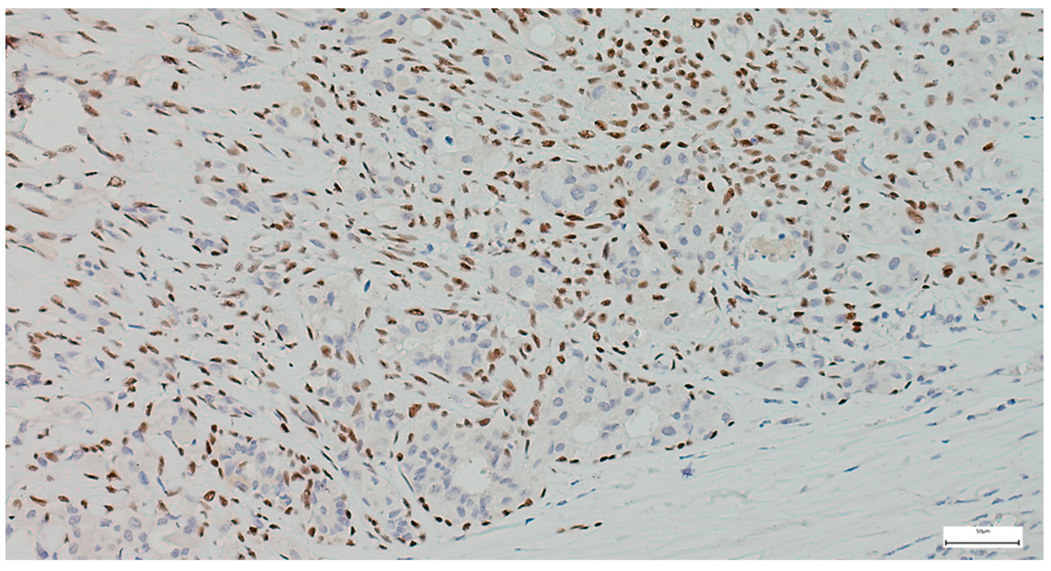 Clinpract 15 00235 g007 Clinpract 15 00235 g007