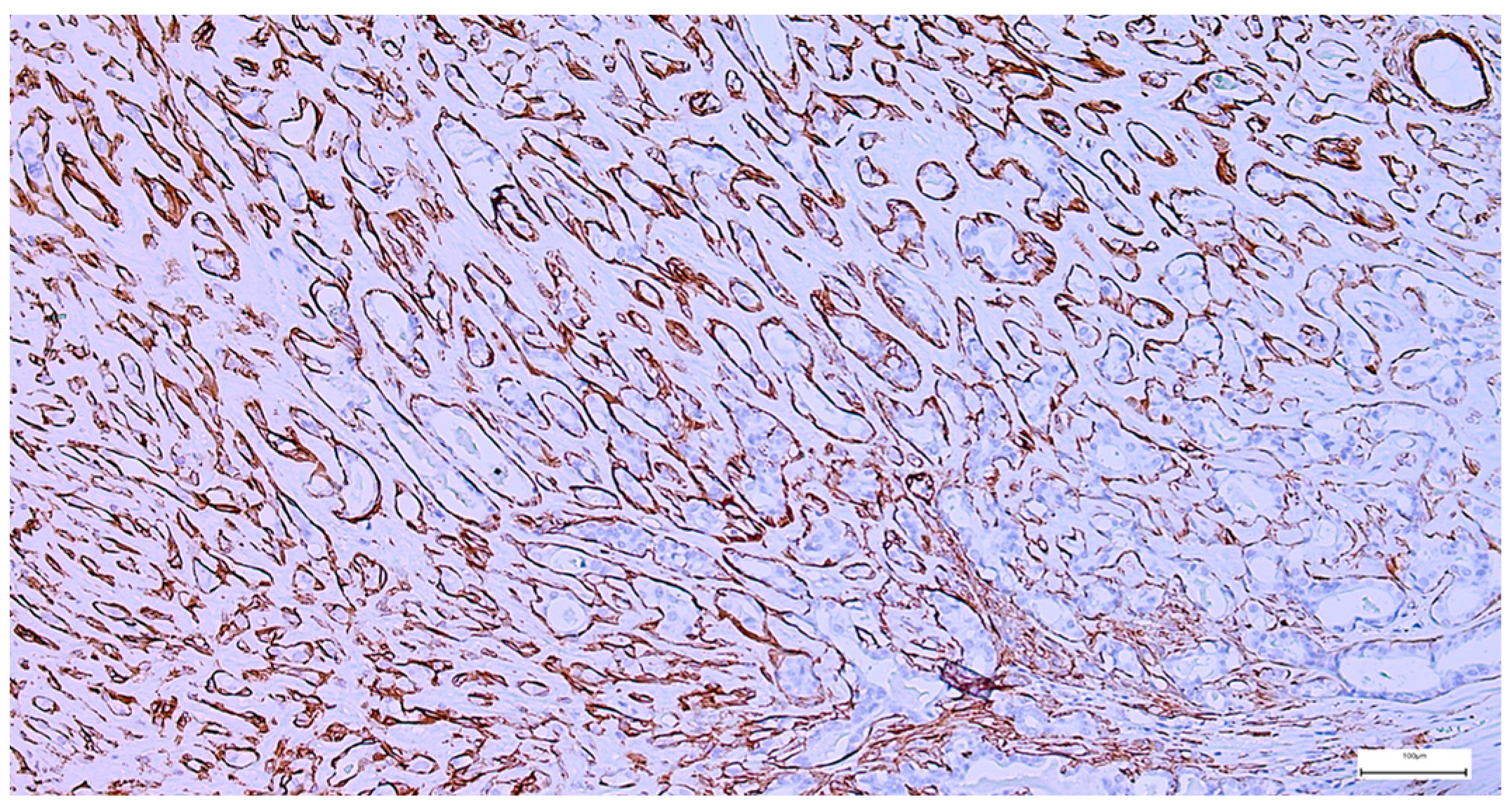 Clinpract 15 00235 g008 Clinpract 15 00235 g008