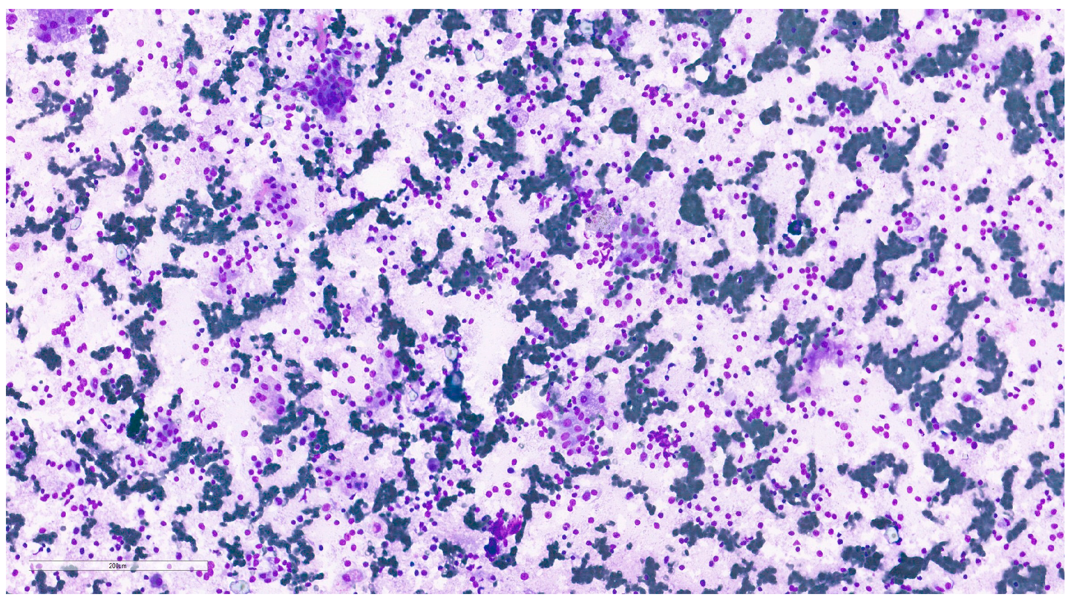 Clinpract 15 00235 g009 Clinpract 15 00235 g009
