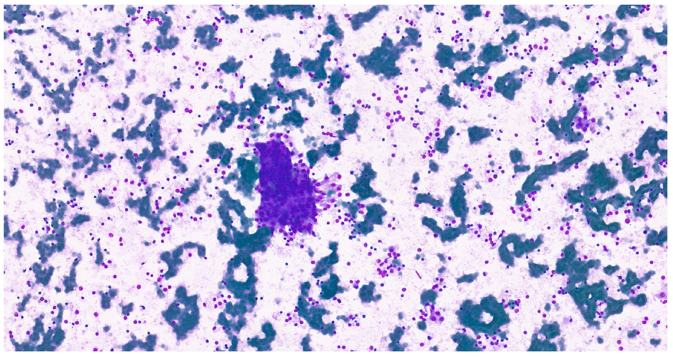 Clinpract 15 00235 g010 Clinpract 15 00235 g010