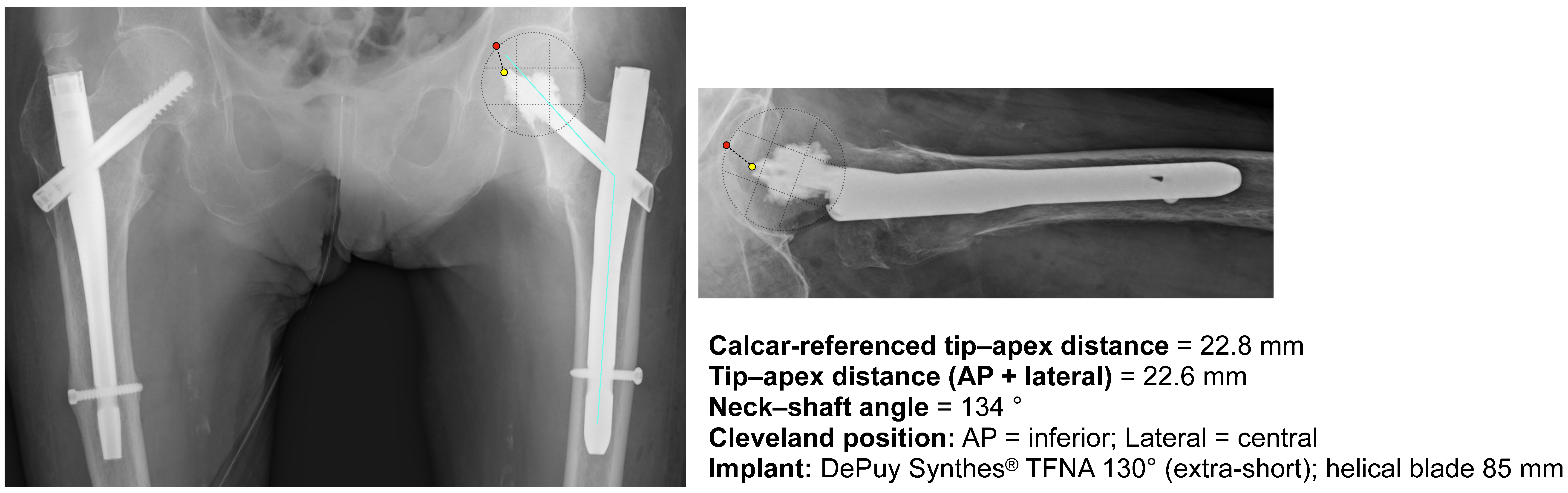 Clinpract 16 00001 g002