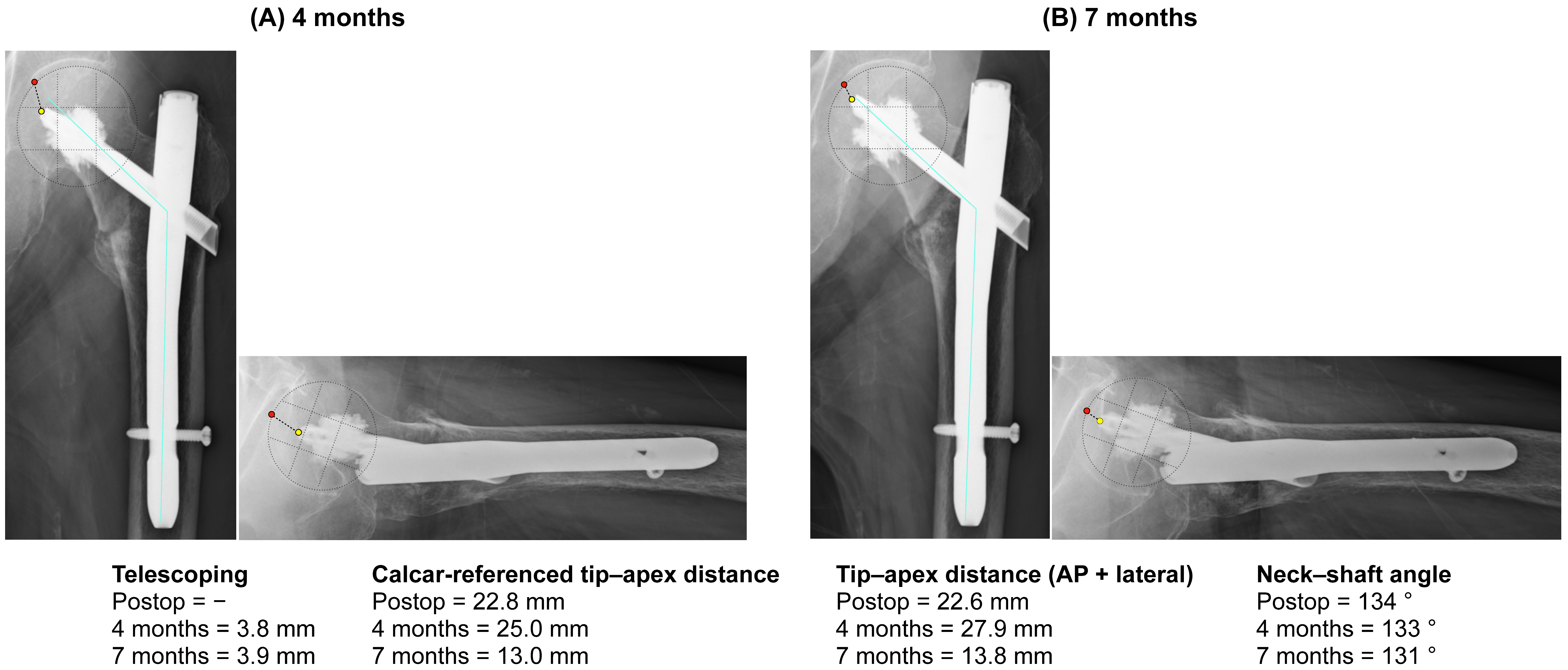 Clinpract 16 00001 g003