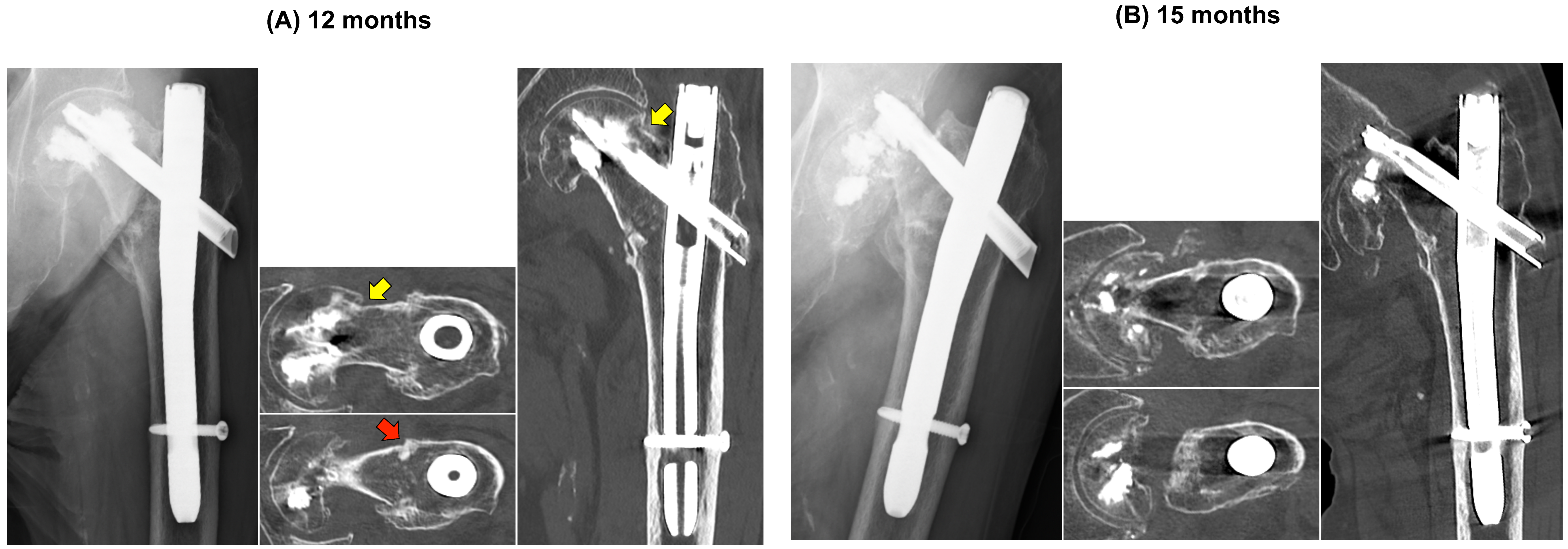 Clinpract 16 00001 g004