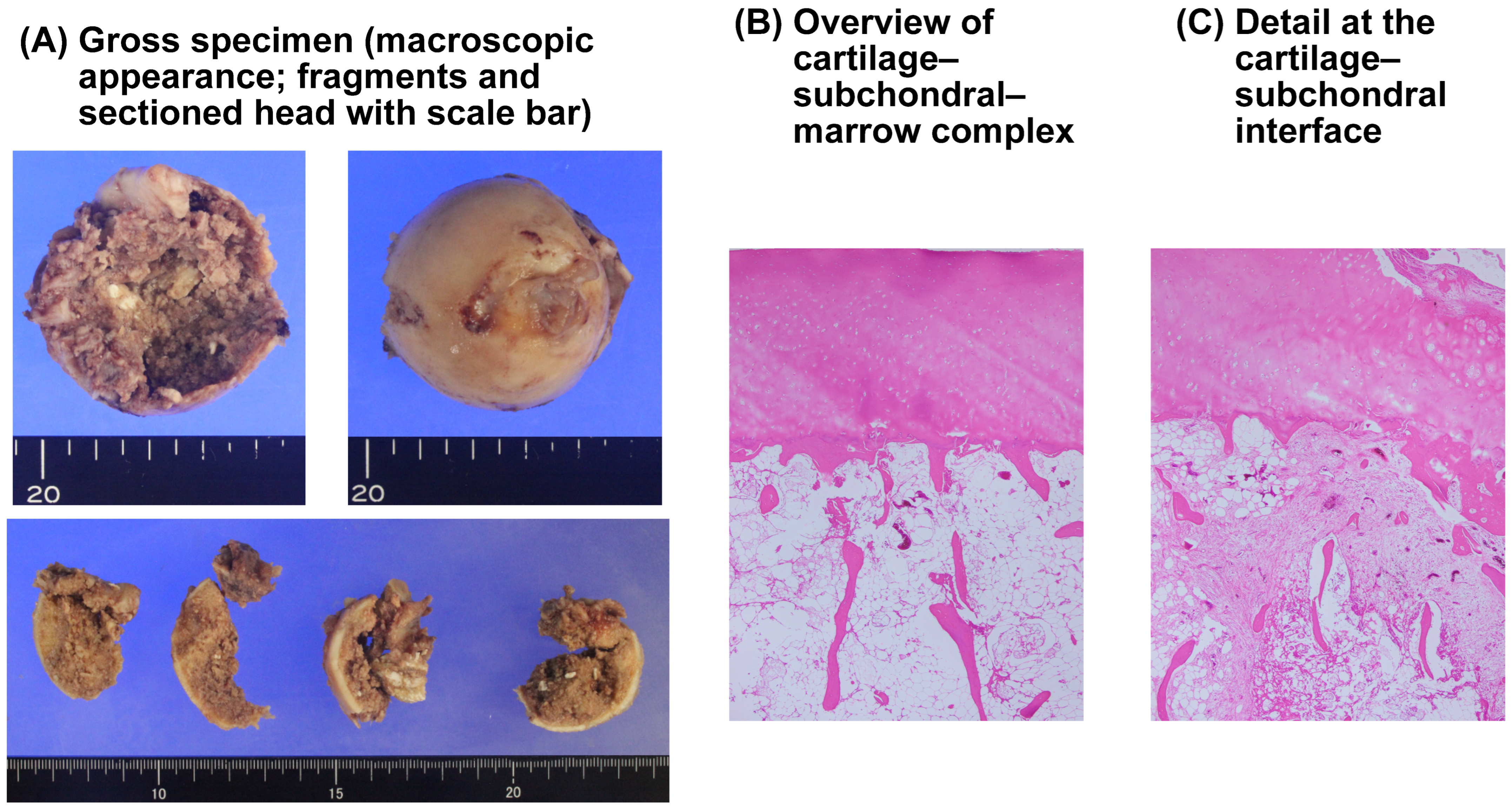 Clinpract 16 00001 g007