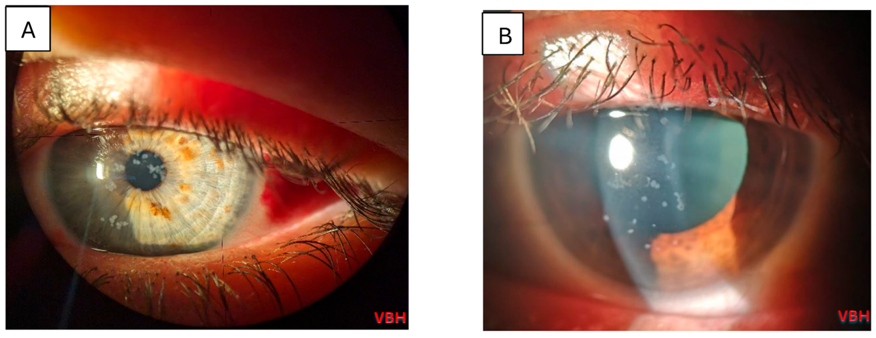 Clinpract 16 00004 g004