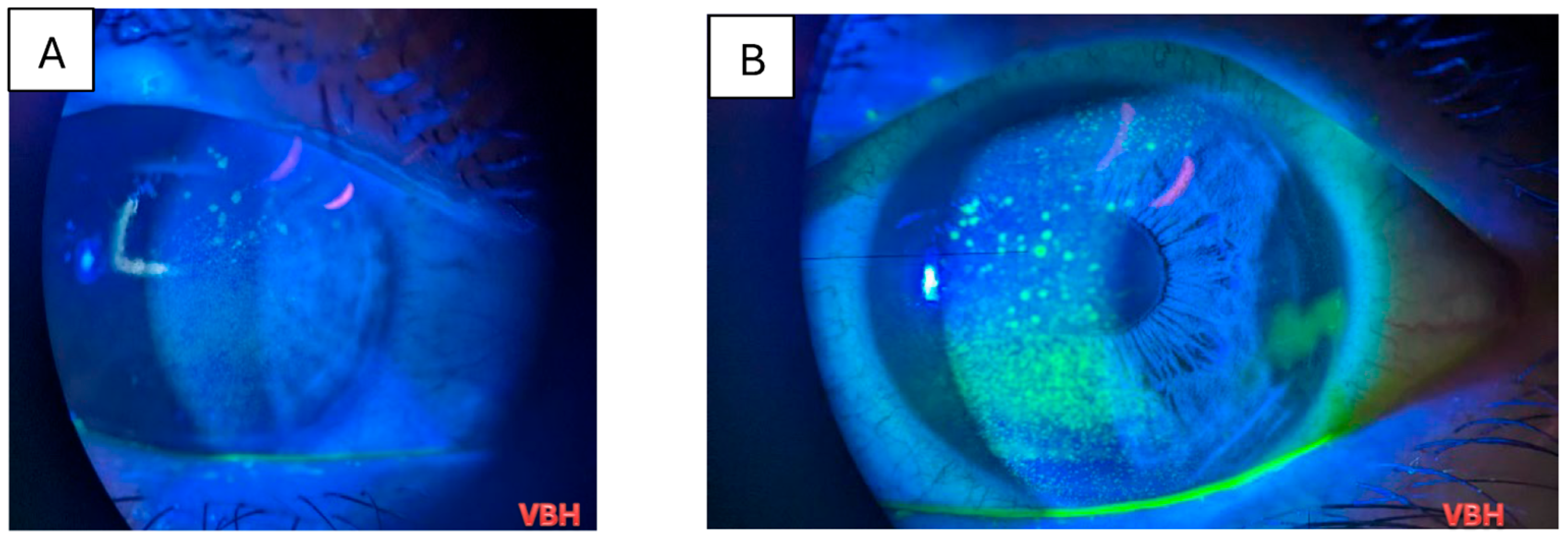 Clinpract 16 00004 g006