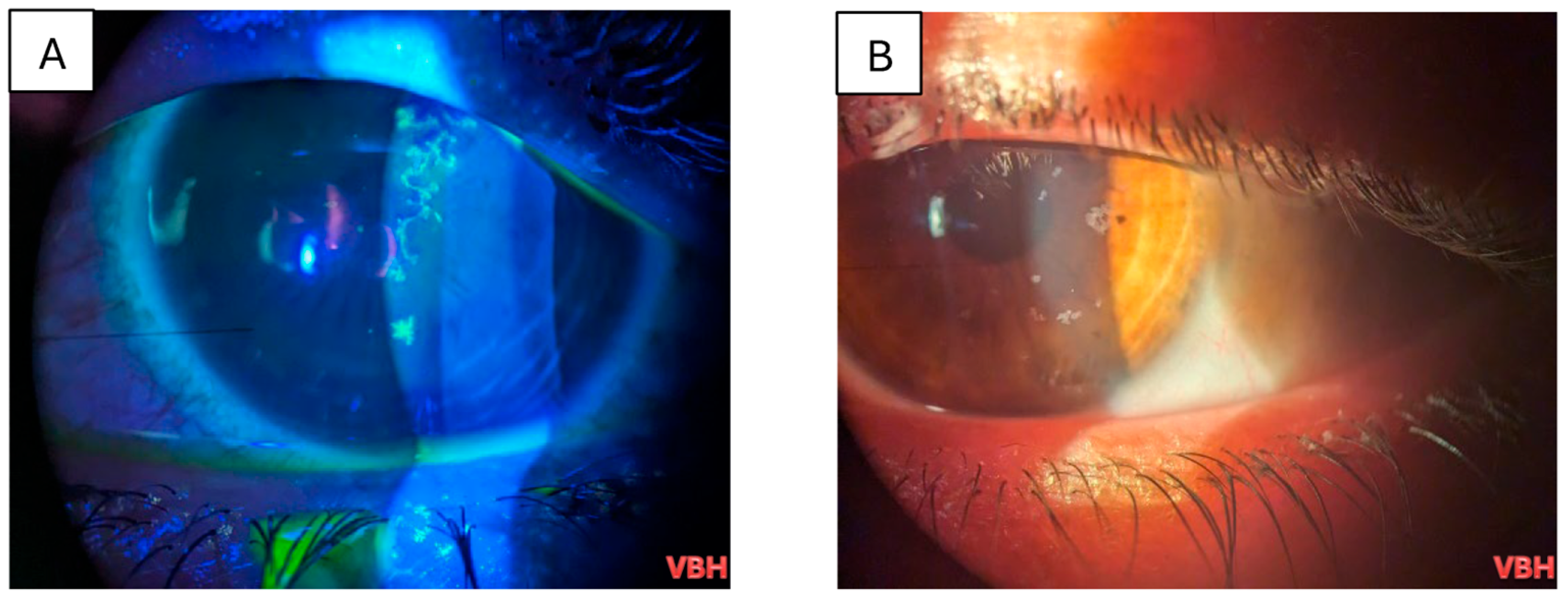 Clinpract 16 00004 g007