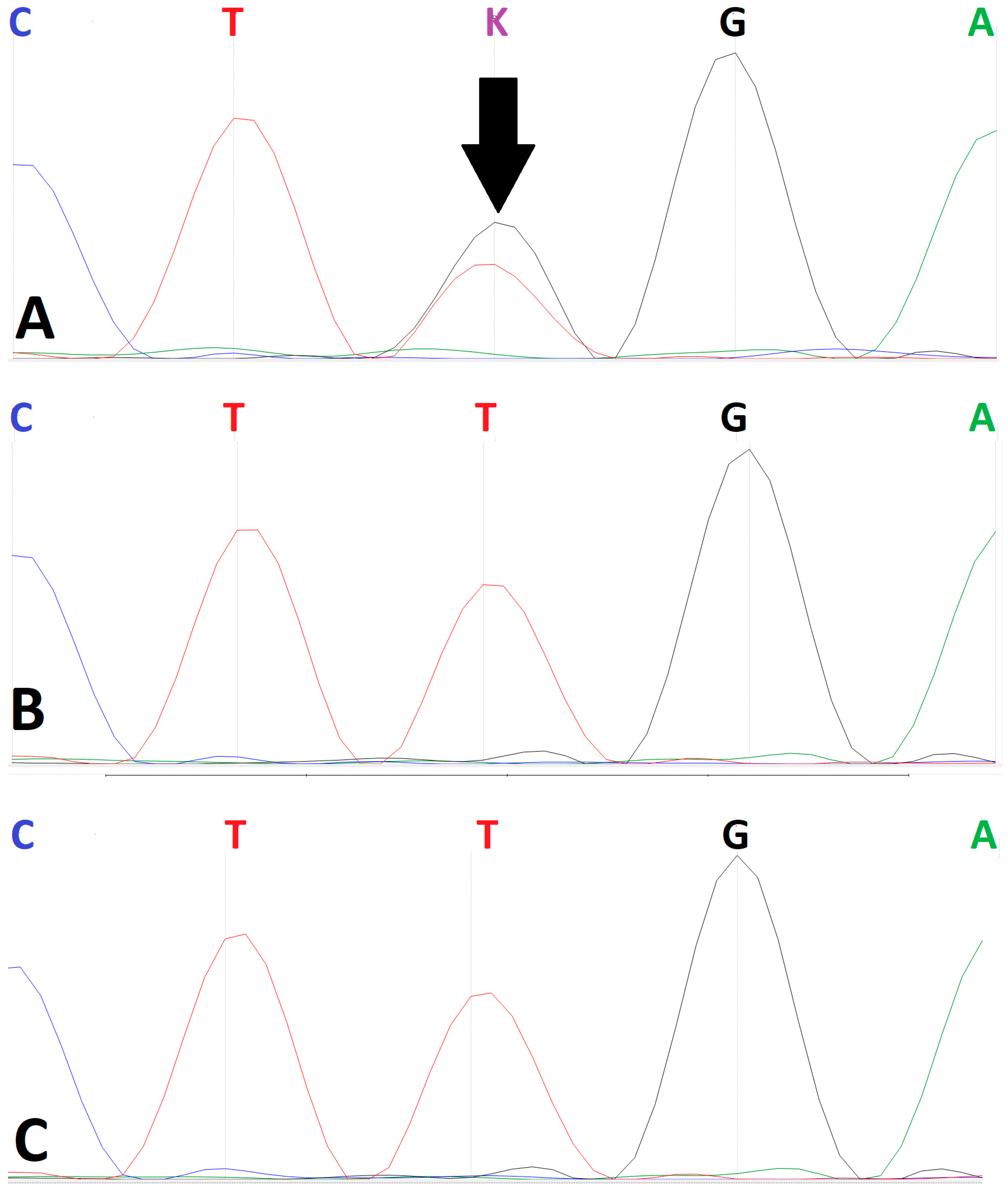 Clinpract 16 00031 g003