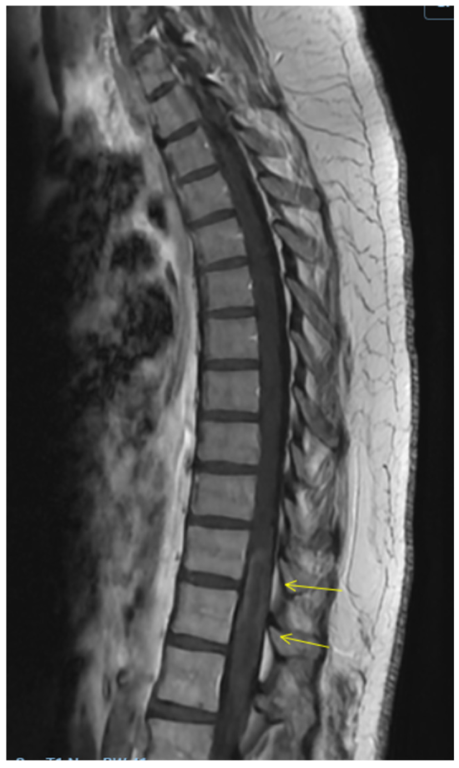 Clinpract 16 00086 g003