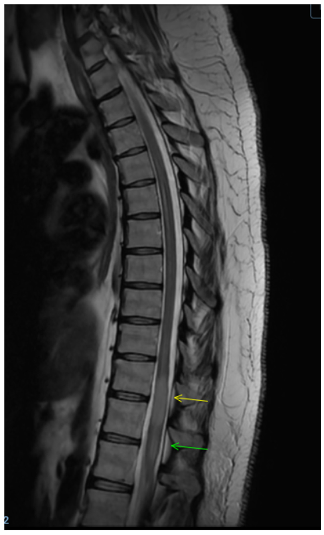 Clinpract 16 00086 g004