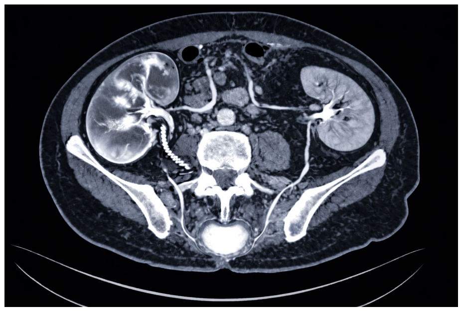 Clinpract 16 00109 g002 Clinpract 16 00109 g002