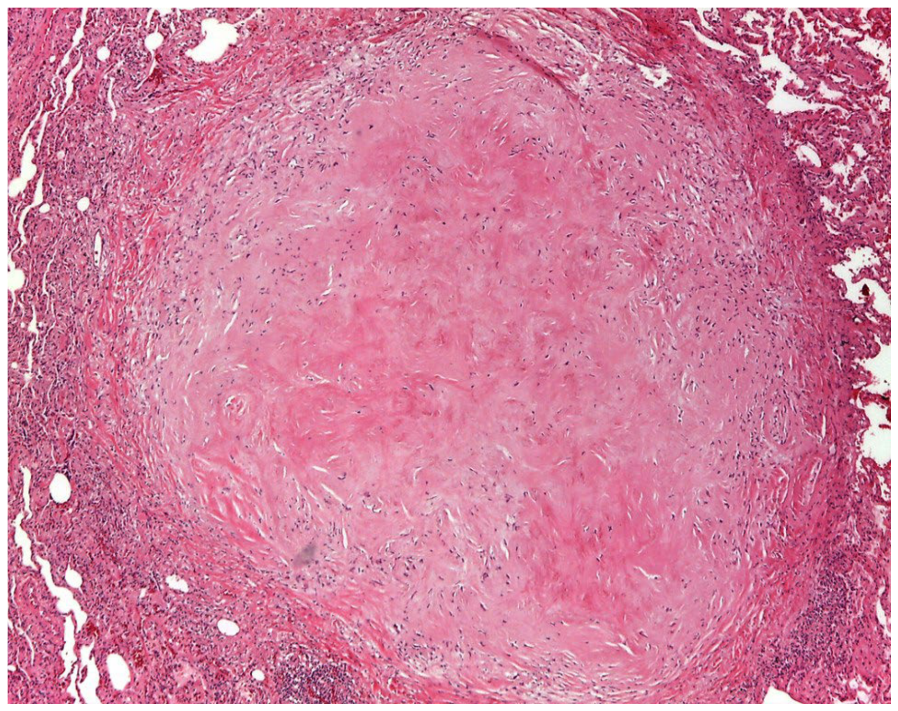 Clinpract 16 00161 g001 Clinpract 16 00161 g001