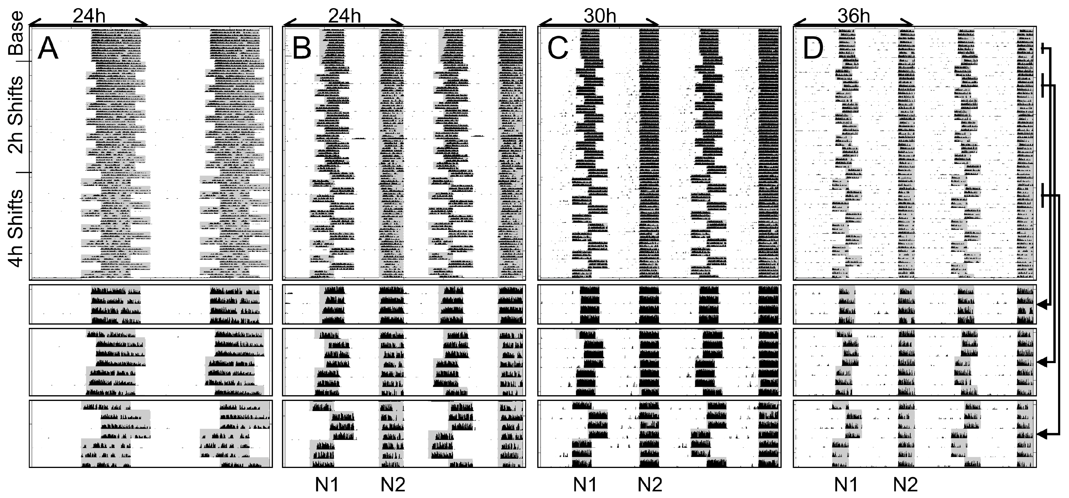 Clockssleep 01 00032 g001 Clockssleep 01 00032 g001