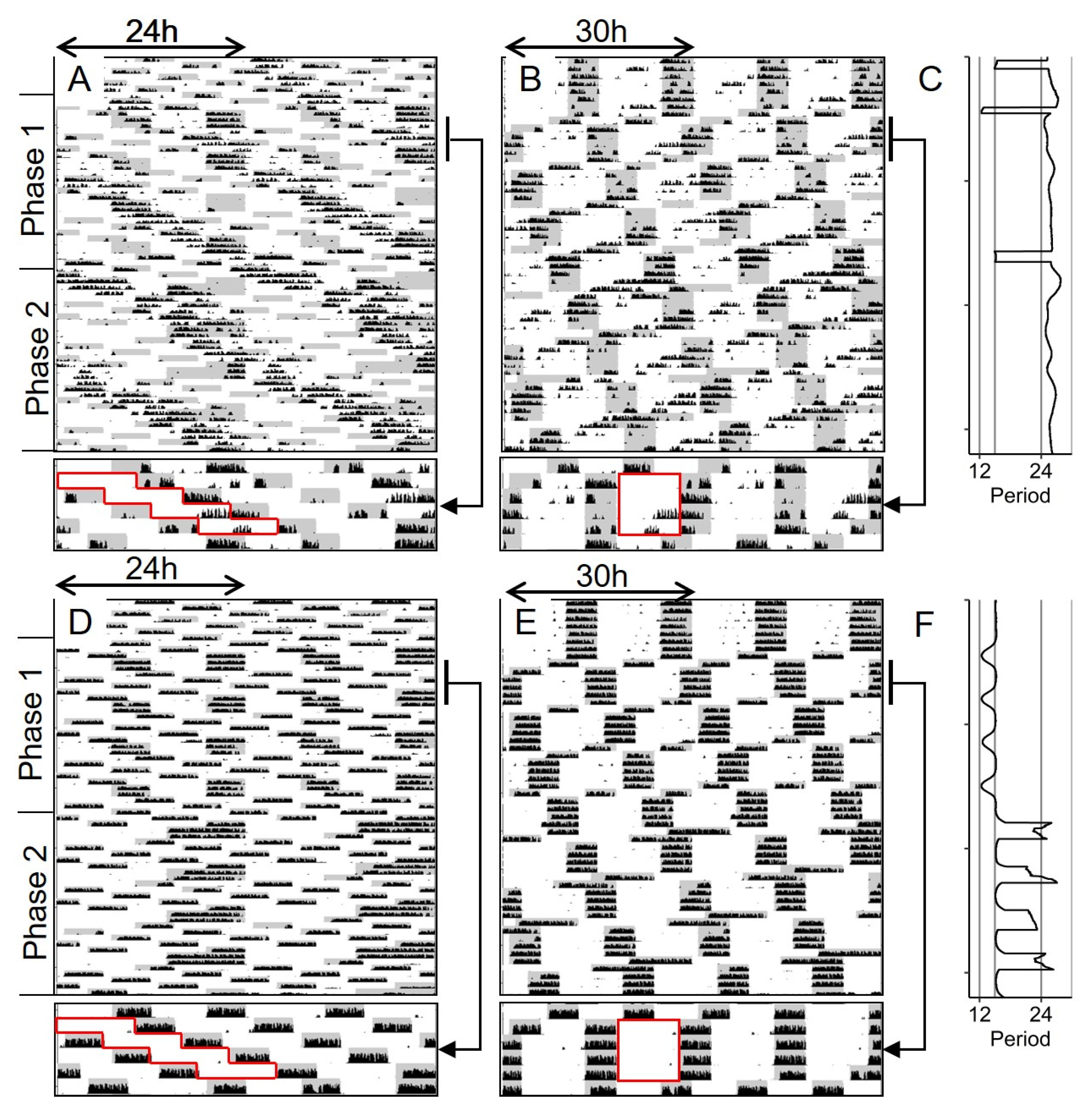 Clockssleep 01 00032 g005 Clockssleep 01 00032 g005