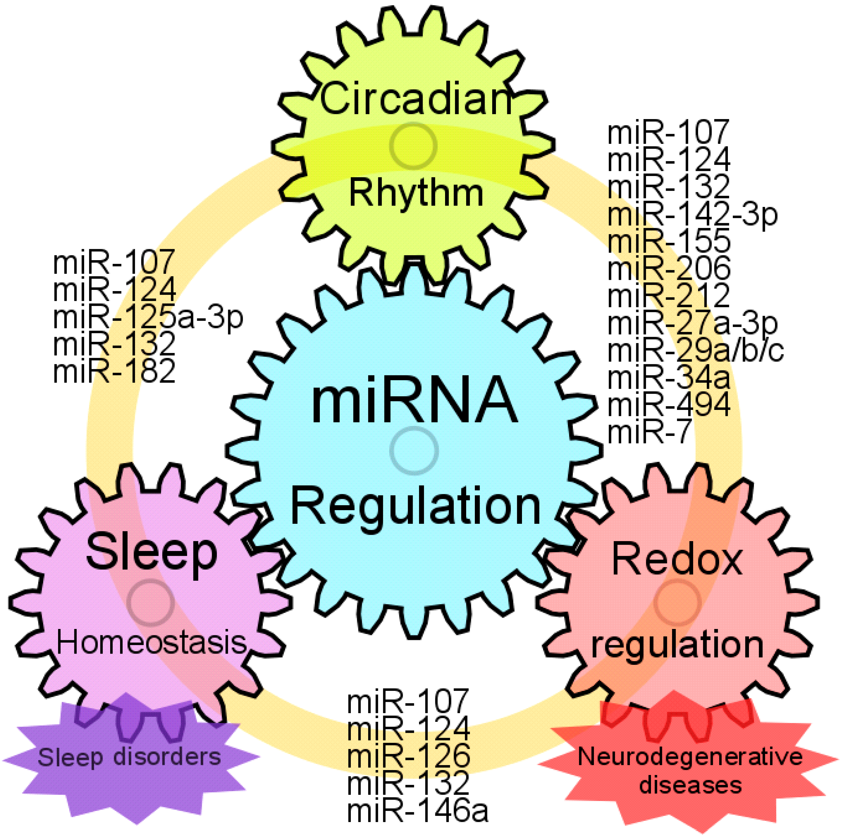 Clockssleep 02 00022 g002 Clockssleep 02 00022 g002