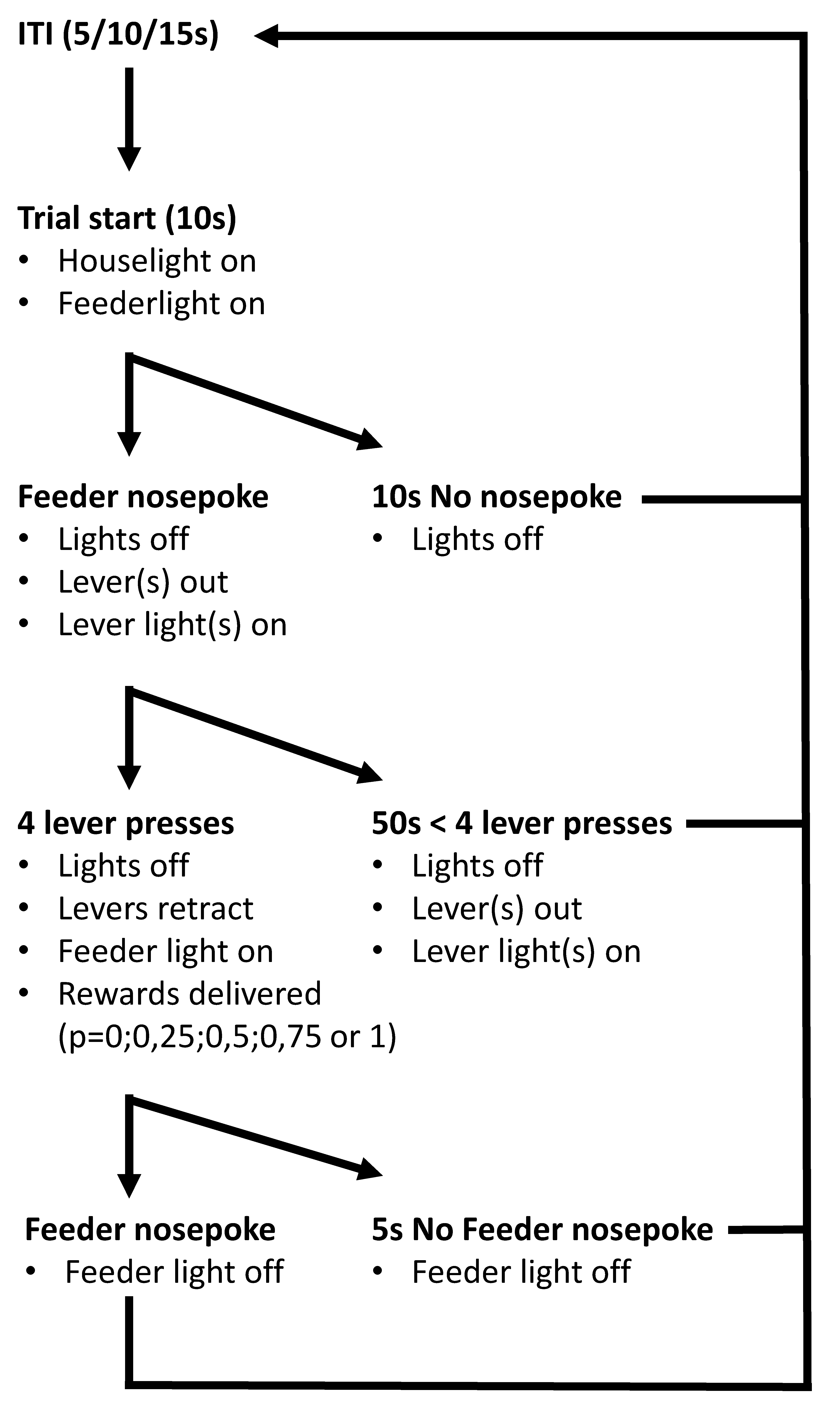 Clockssleep 03 00003 g007