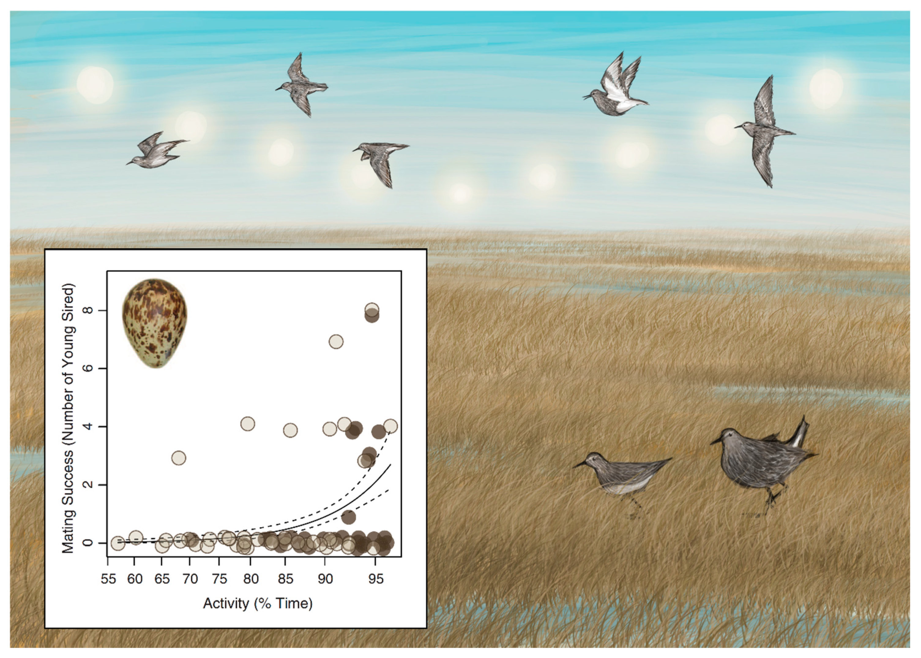 Clockssleep 03 00008 g004 Clockssleep 03 00008 g004