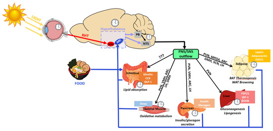 Clockssleep 03 00012 g005 550