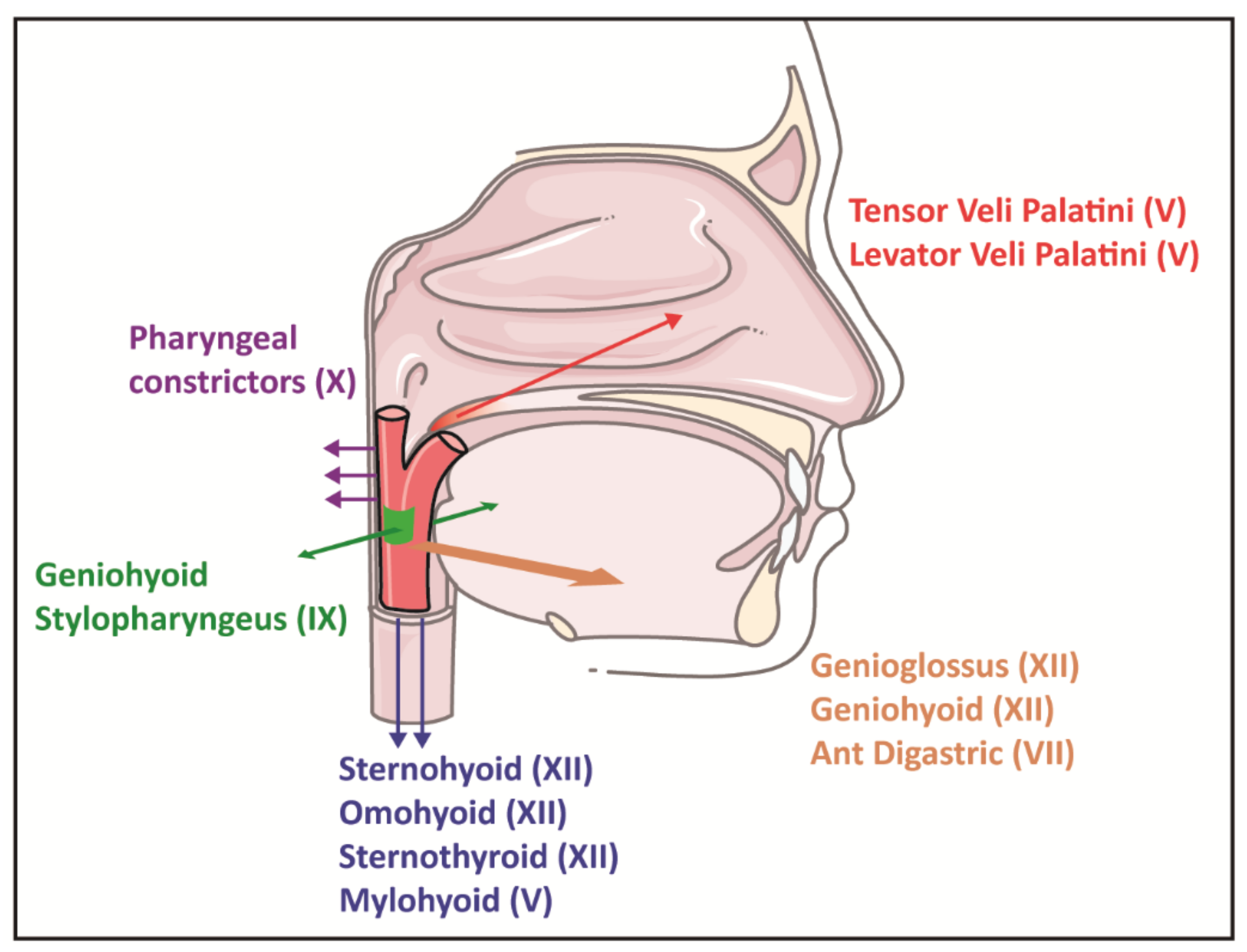 Clockssleep 03 00013 g002