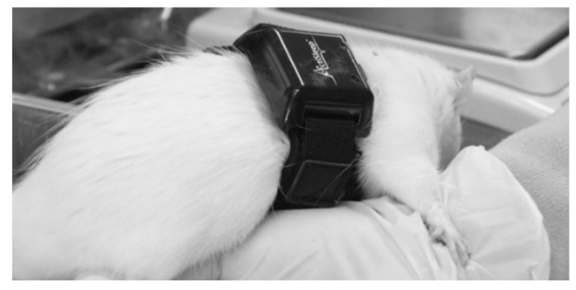 Clockssleep 03 00028 g003