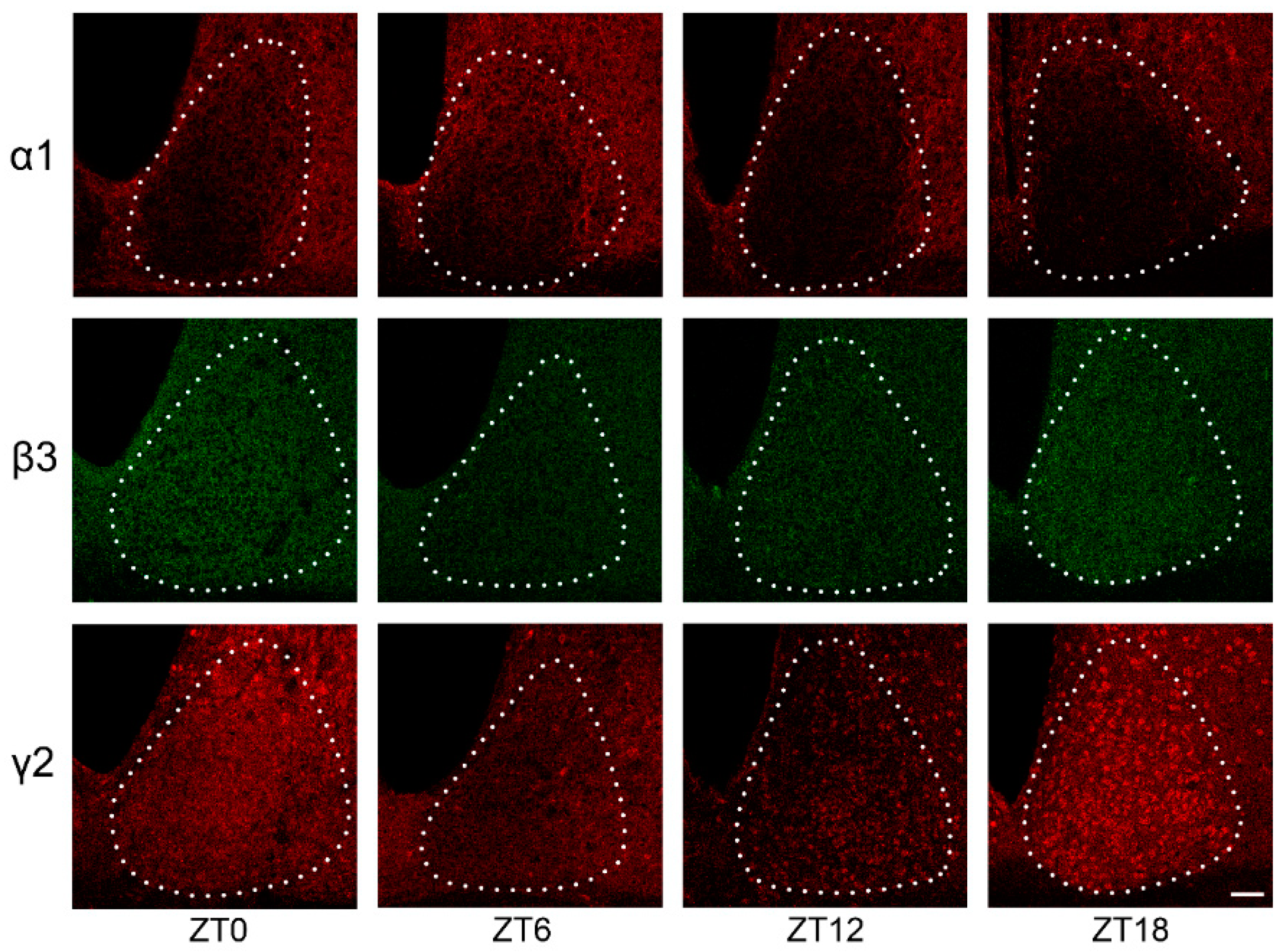 Clockssleep 03 00034 g002