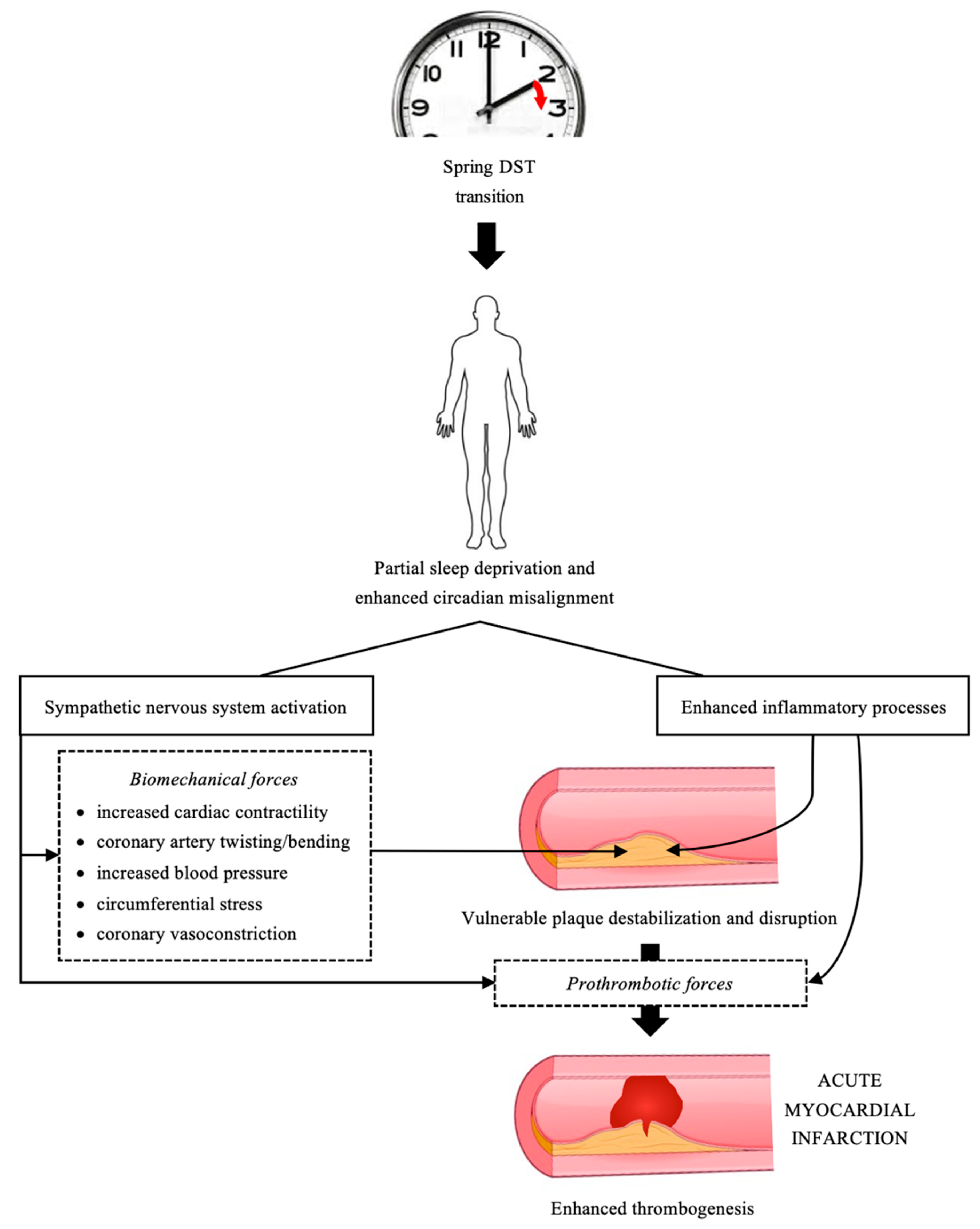 Clockssleep 03 00039 g002