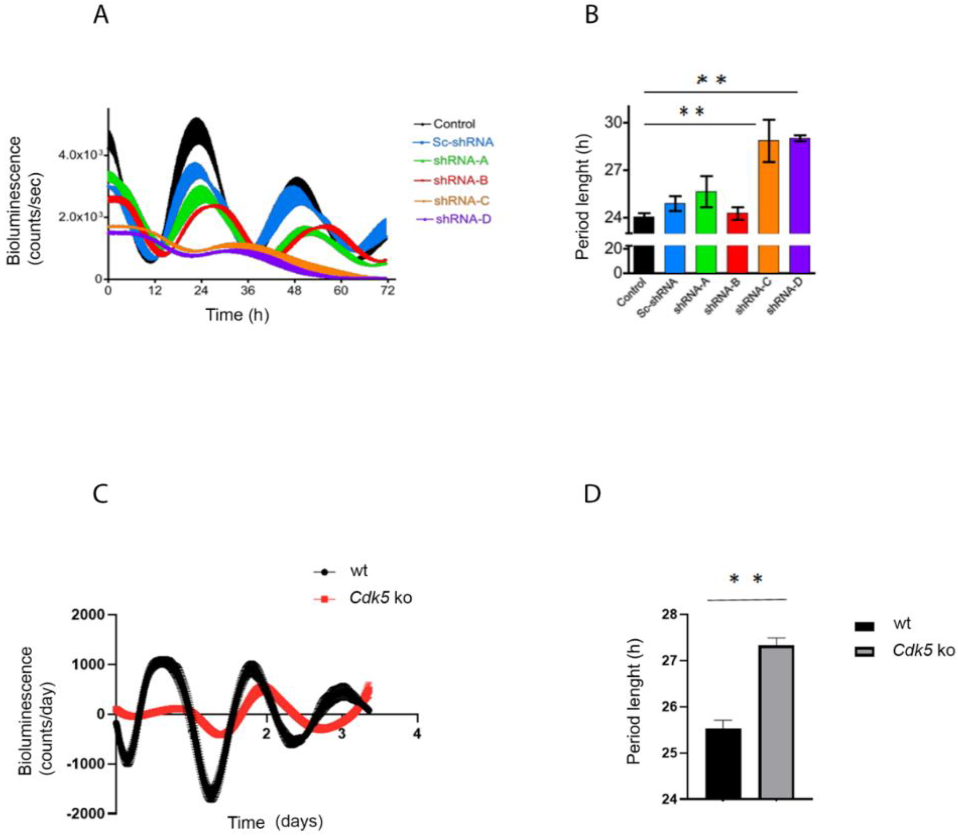 Clockssleep 04 00017 g001