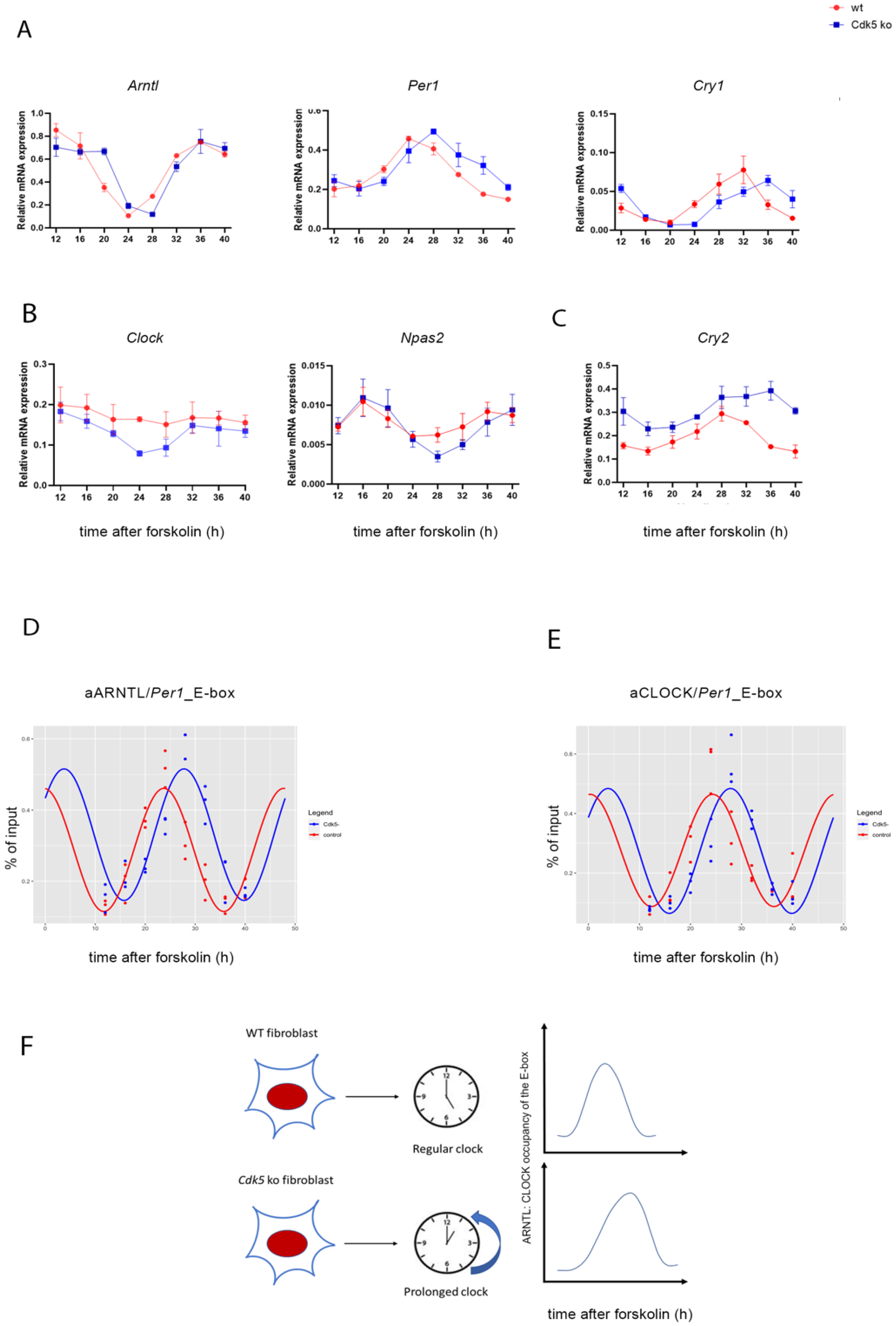 Clockssleep 04 00017 g005