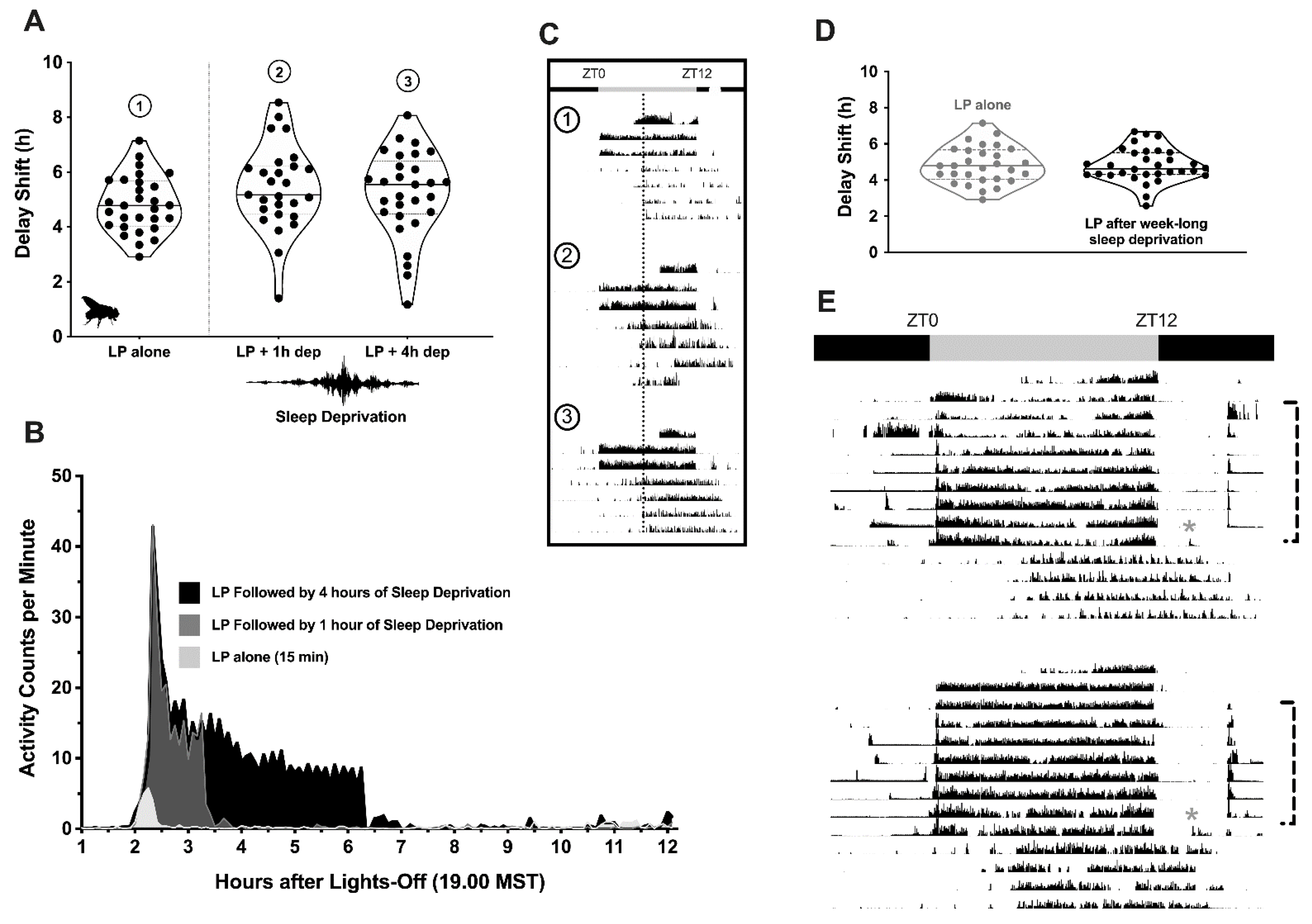 Clockssleep 04 00018 g002