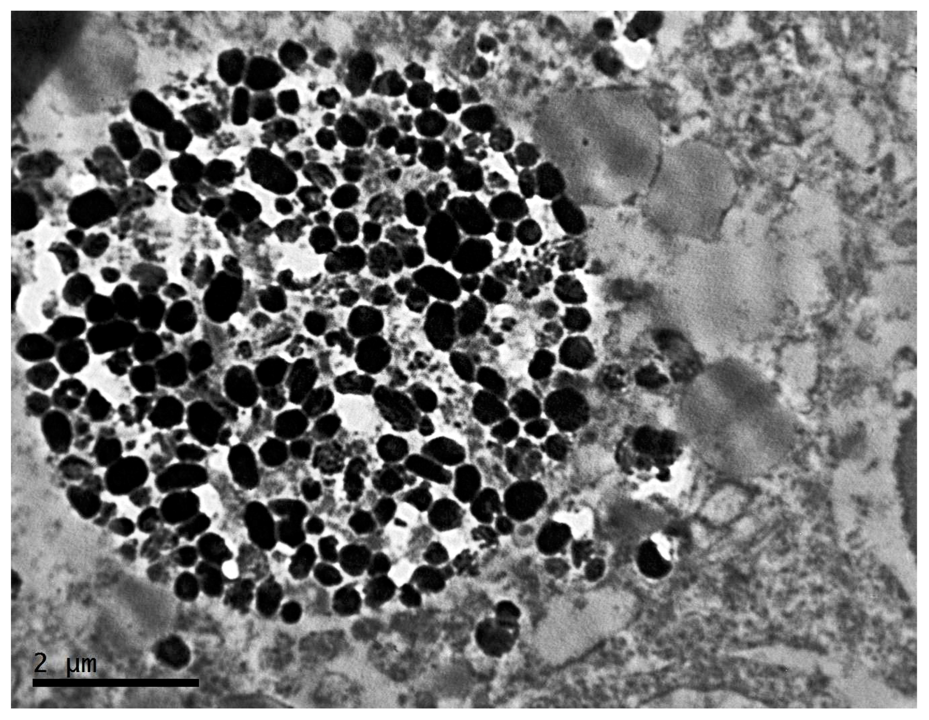 Clockssleep 04 00056 g004