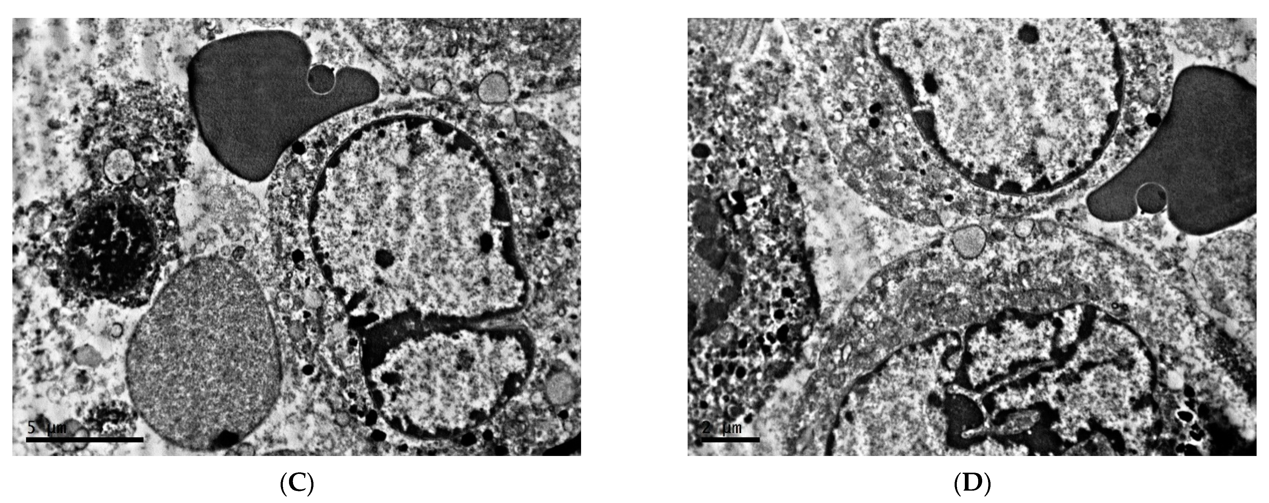 Clockssleep 04 00056 g007b