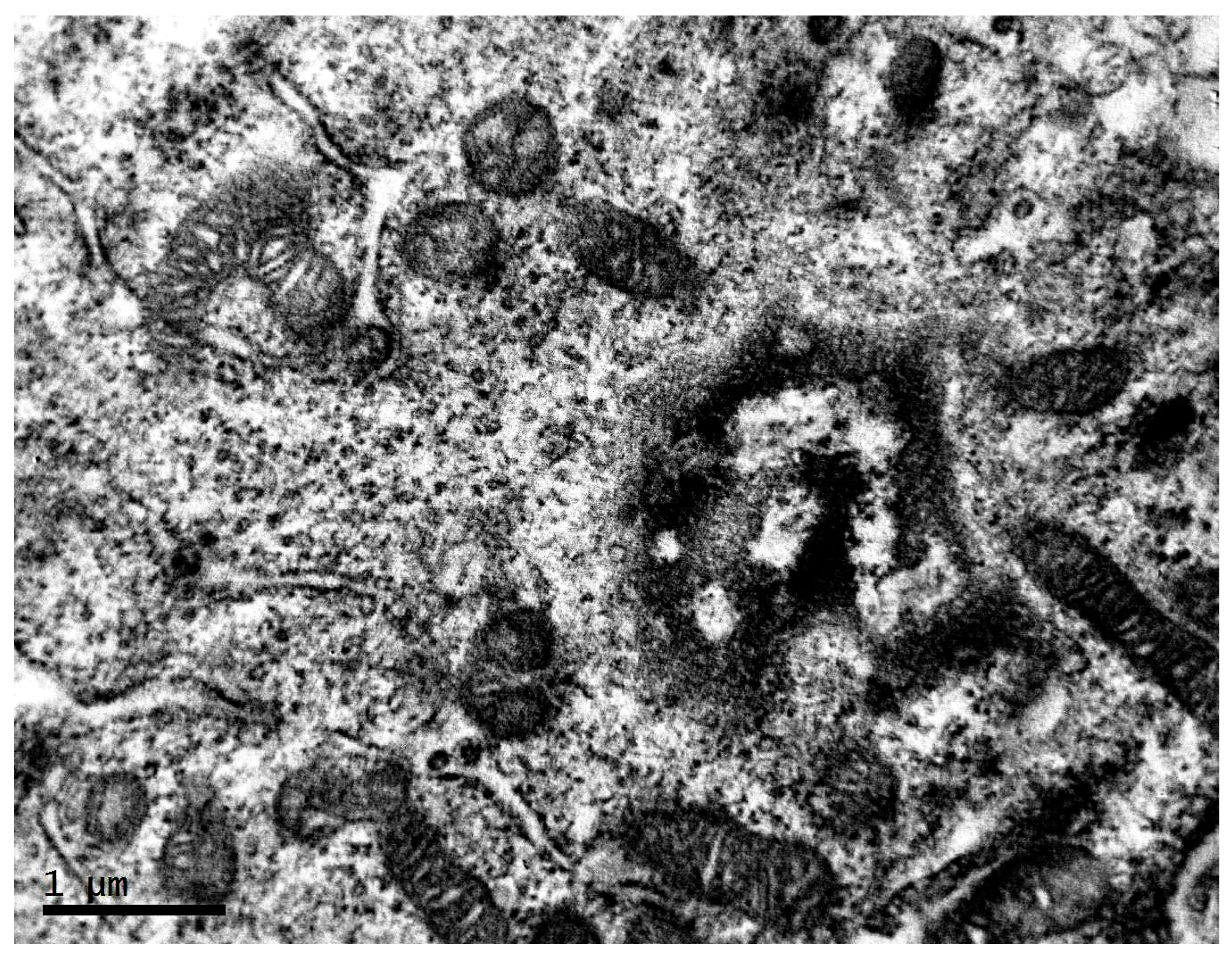 Clockssleep 04 00056 g008