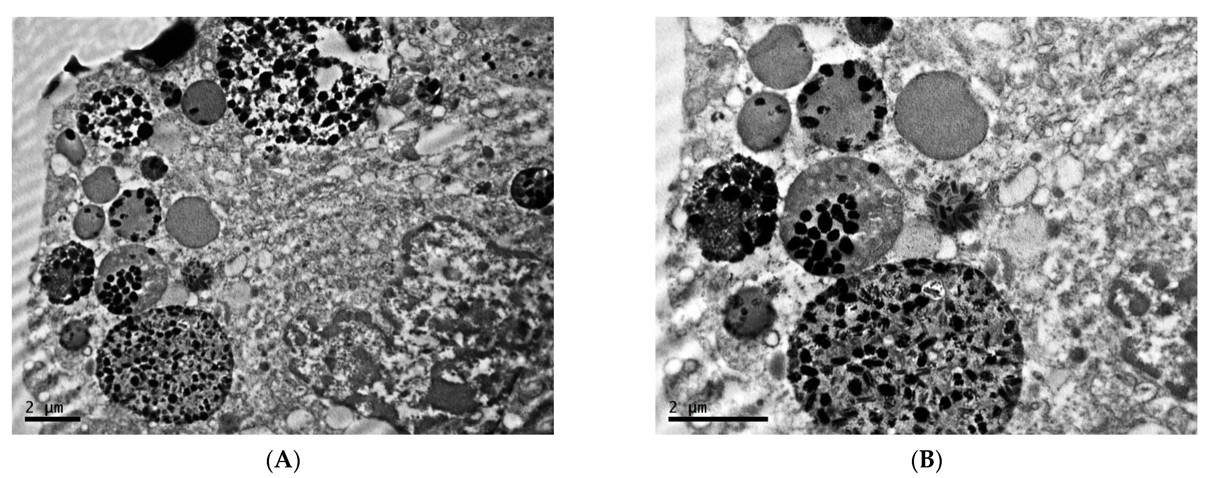 Clockssleep 04 00056 g010a