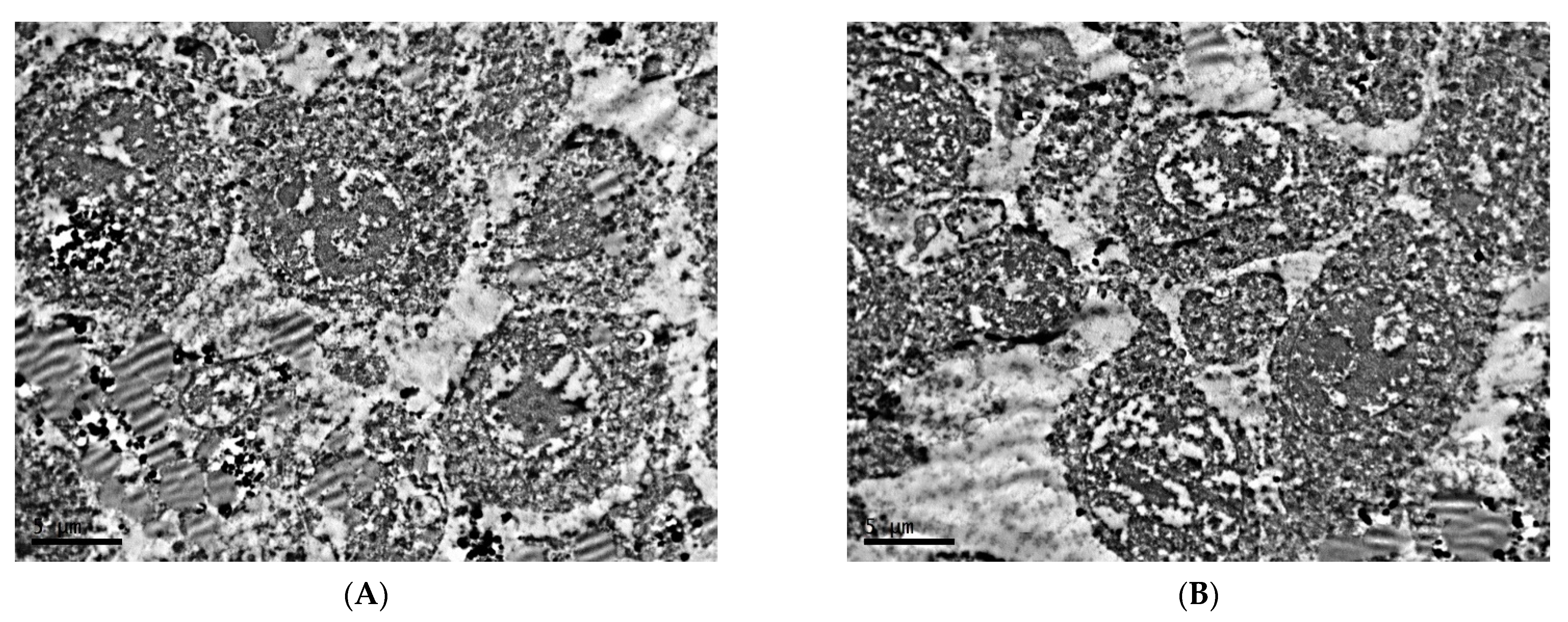 Clockssleep 04 00056 g011