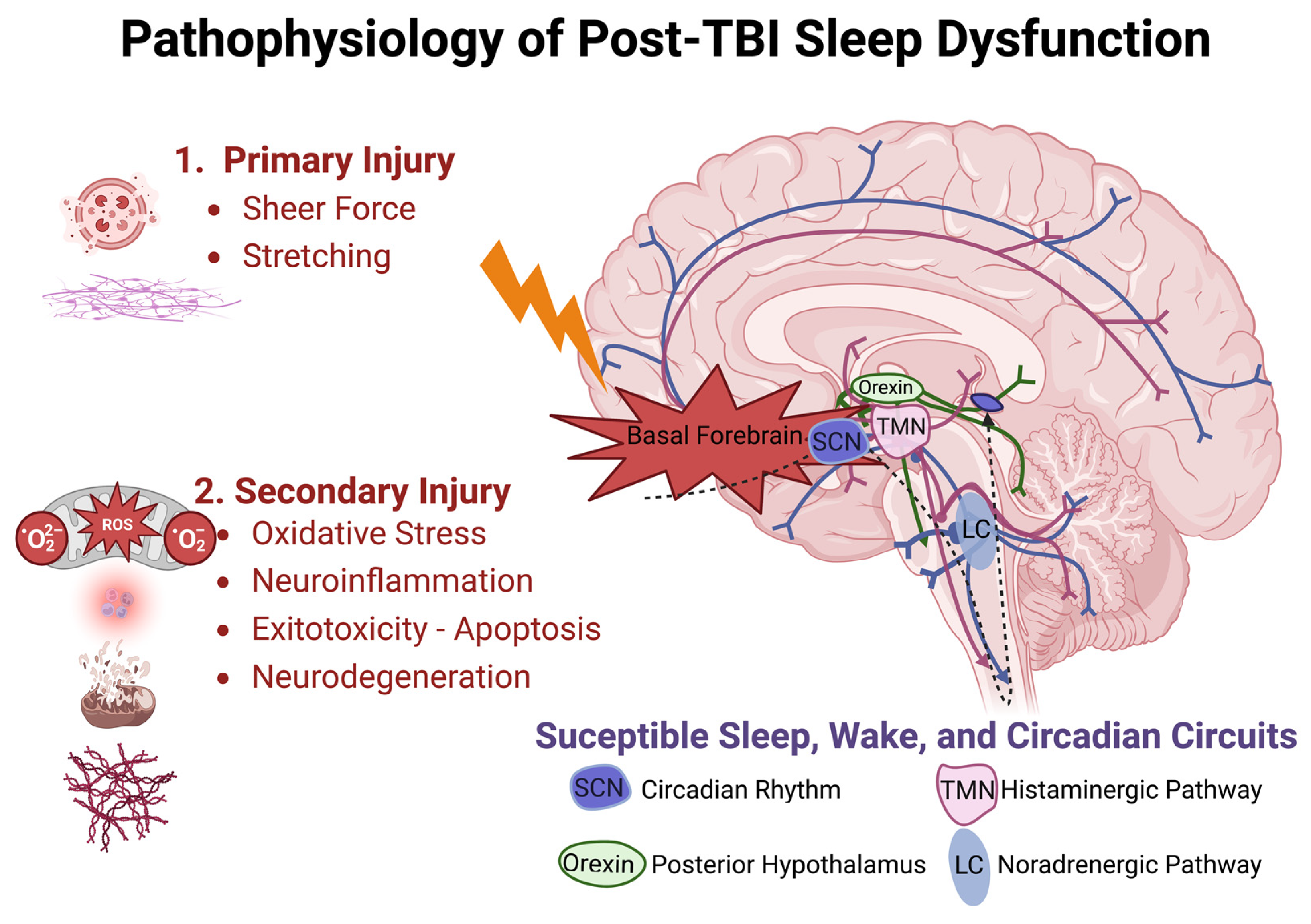 Assessment of neuroendocrine dysfunction following traumatic brain injury.