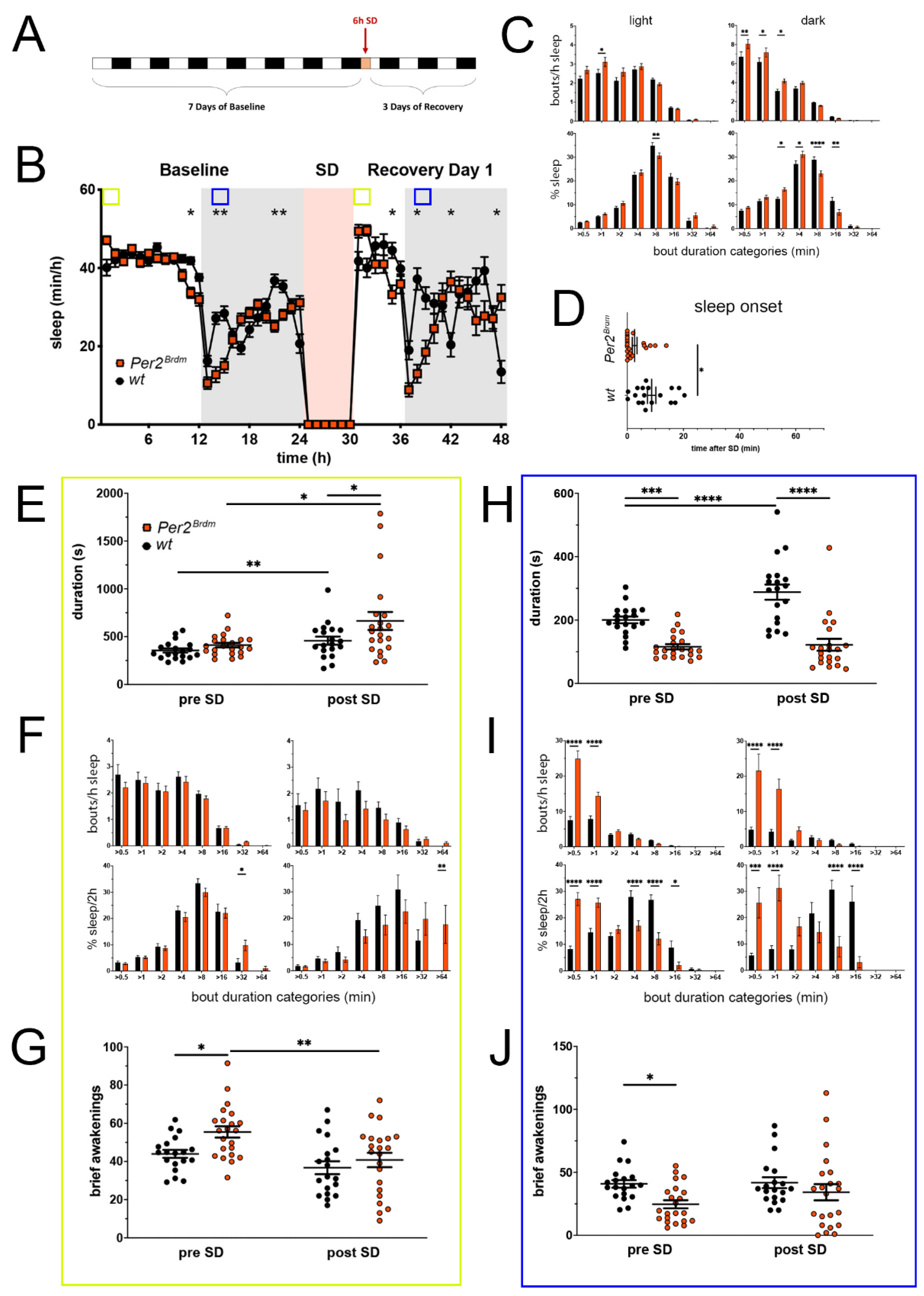 Clockssleep 05 00017 g001