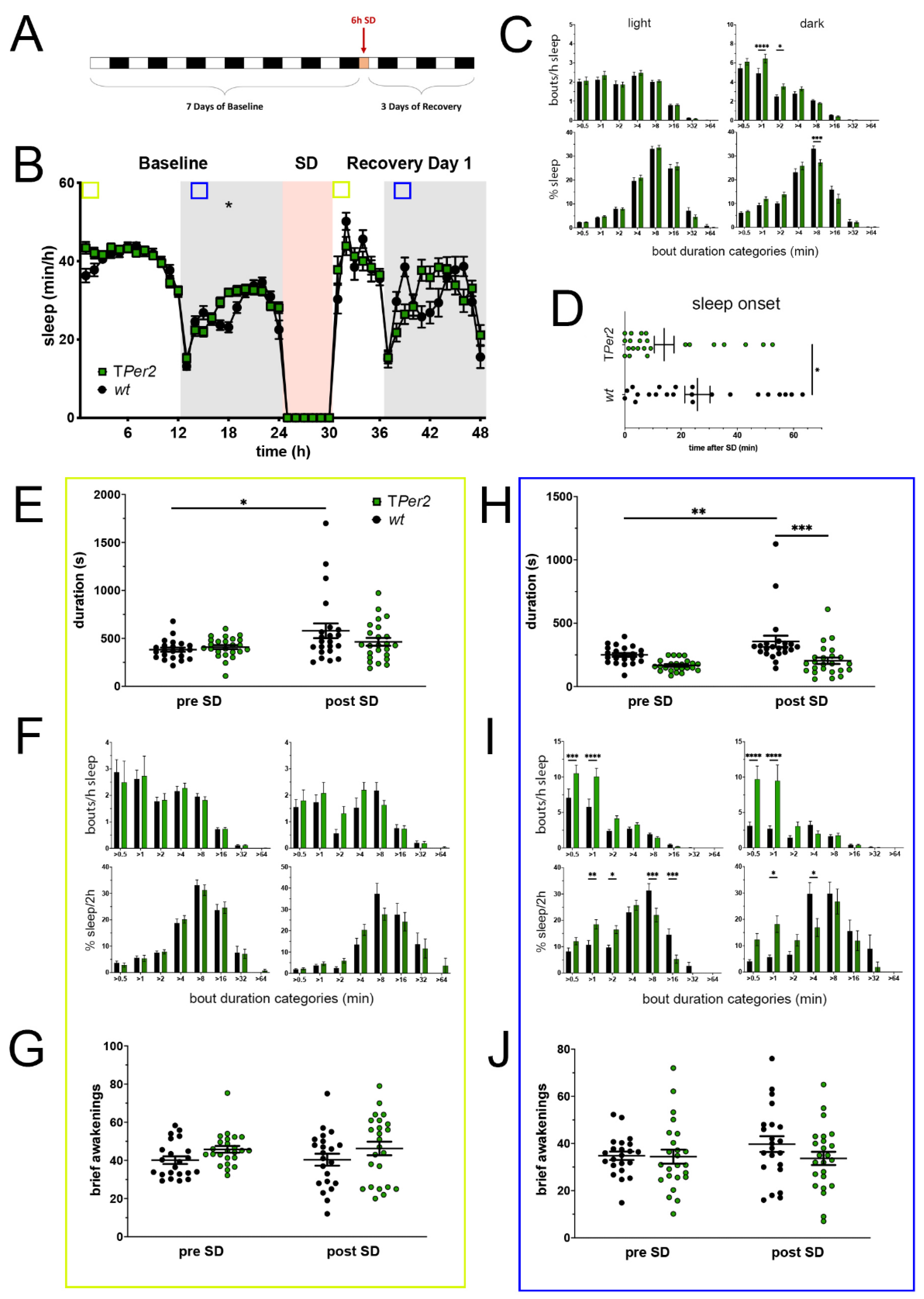 Clockssleep 05 00017 g002