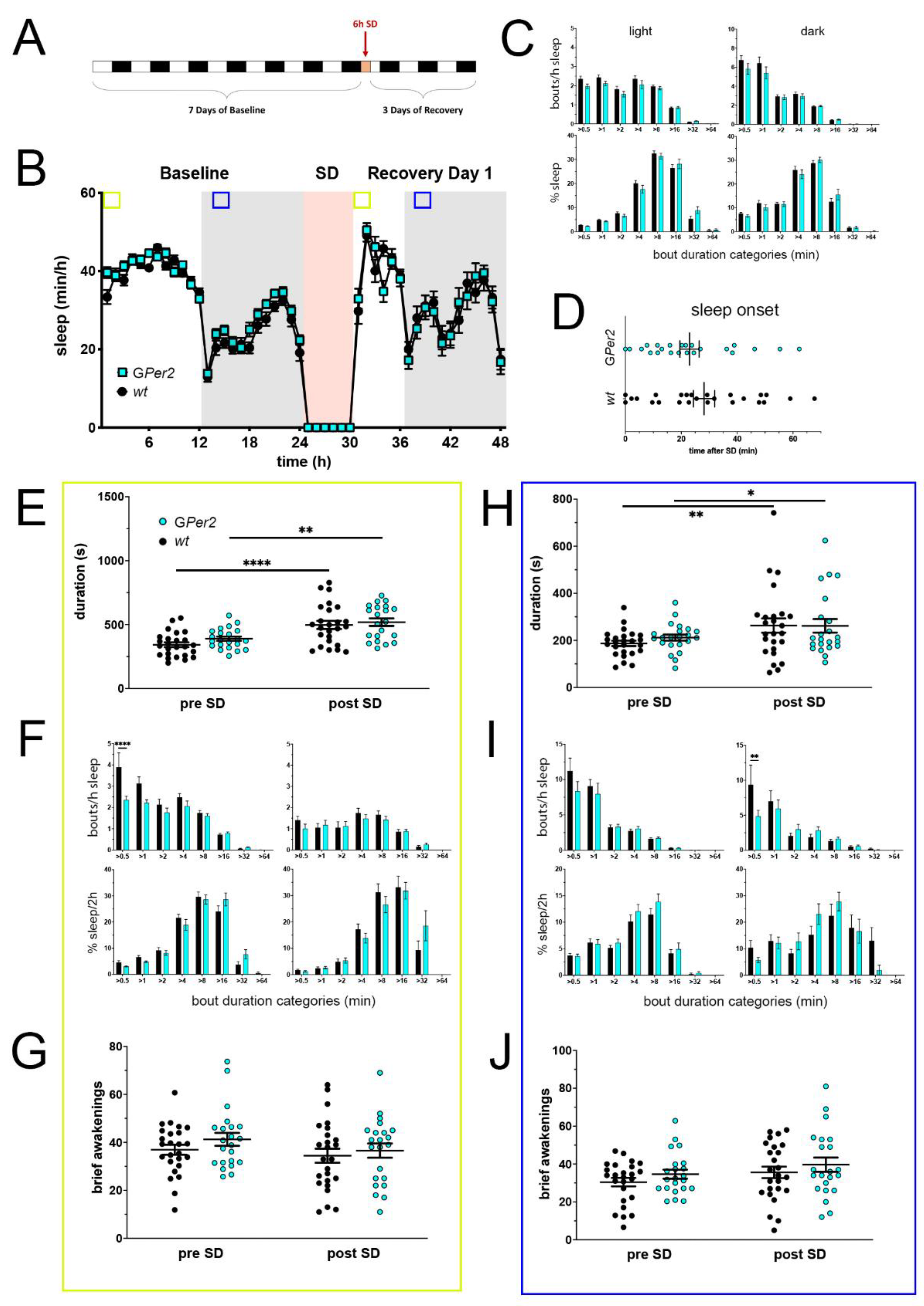 Clockssleep 05 00017 g004