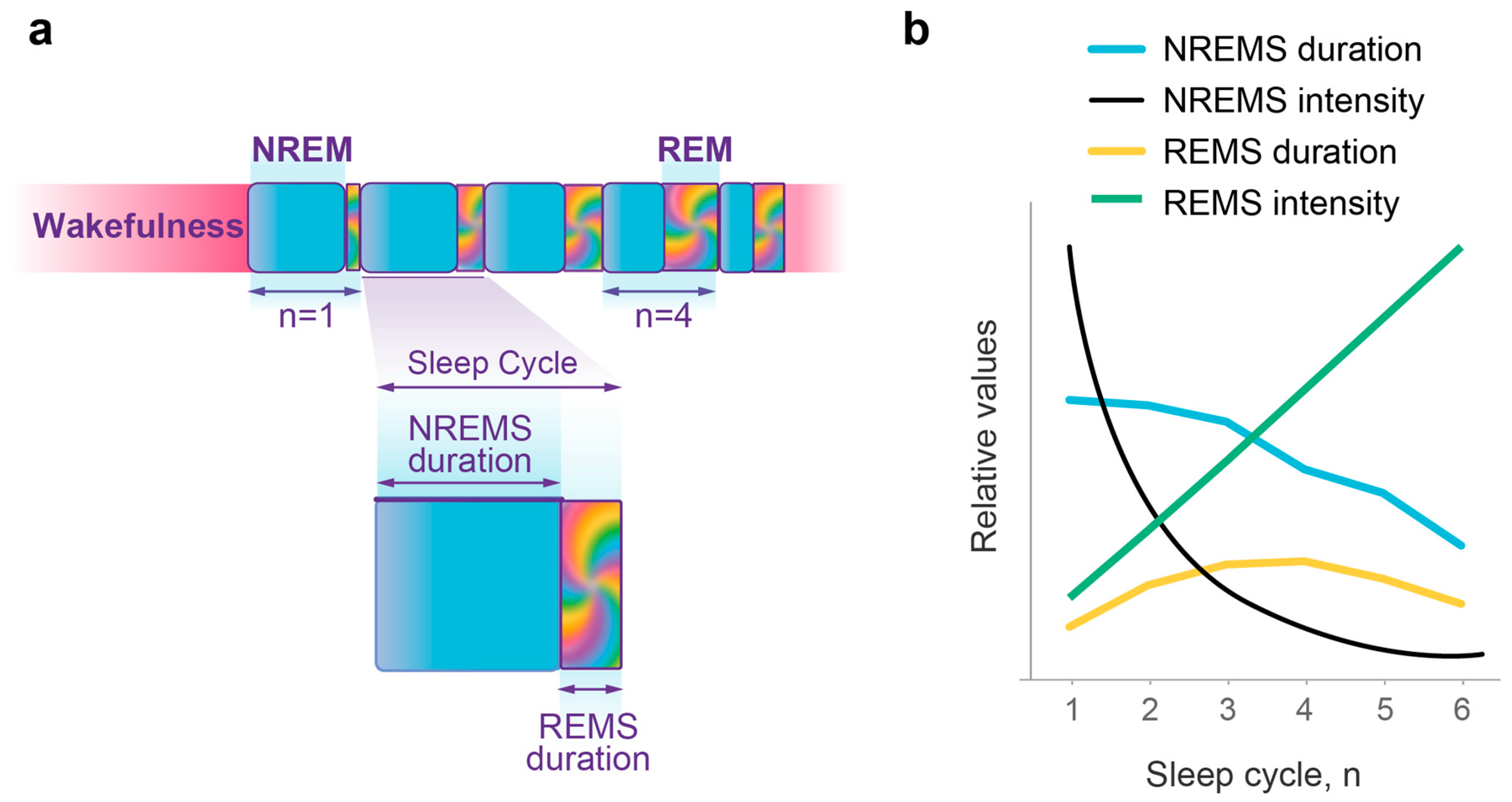 Clockssleep 05 00046 g001