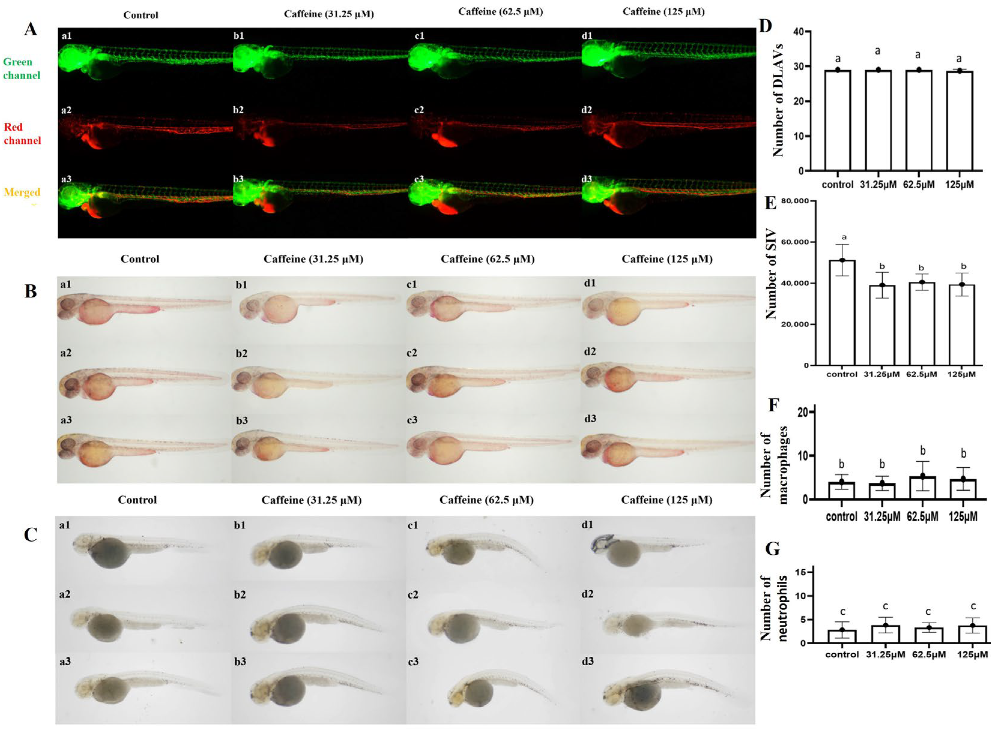 Clockssleep 06 00048 g002