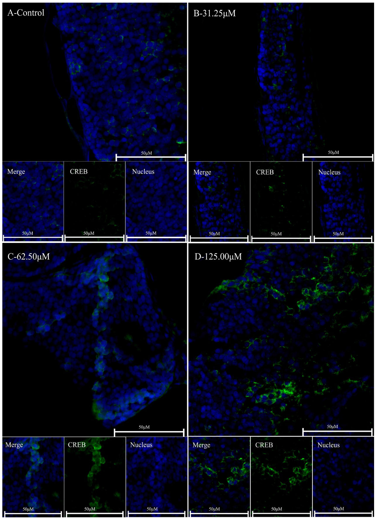 Clockssleep 06 00048 g006