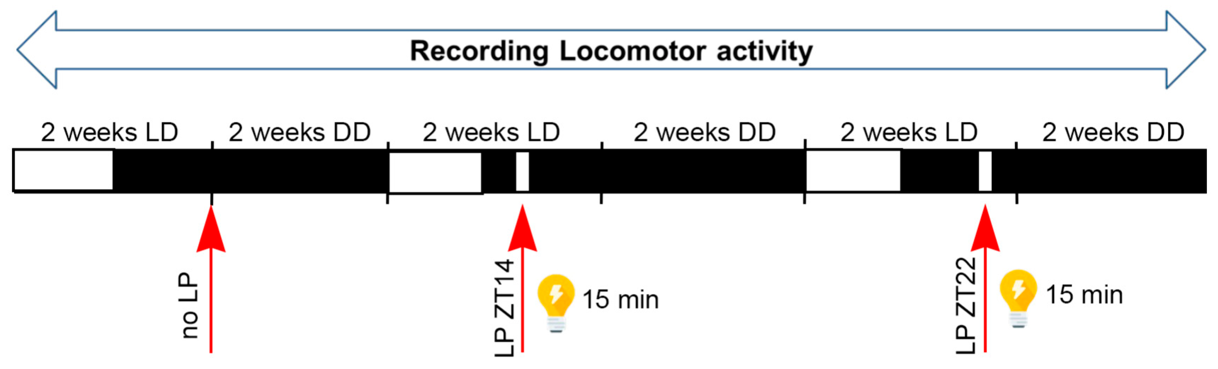 Clockssleep 07 00037 g001
