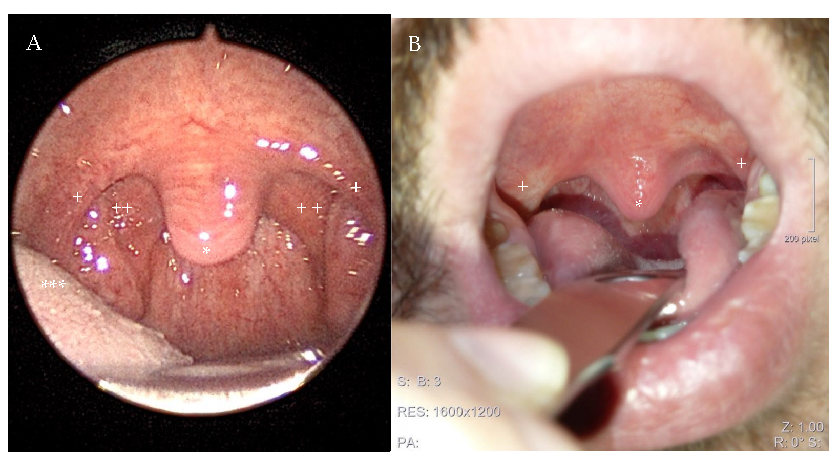 Clockssleep 07 00038 g003