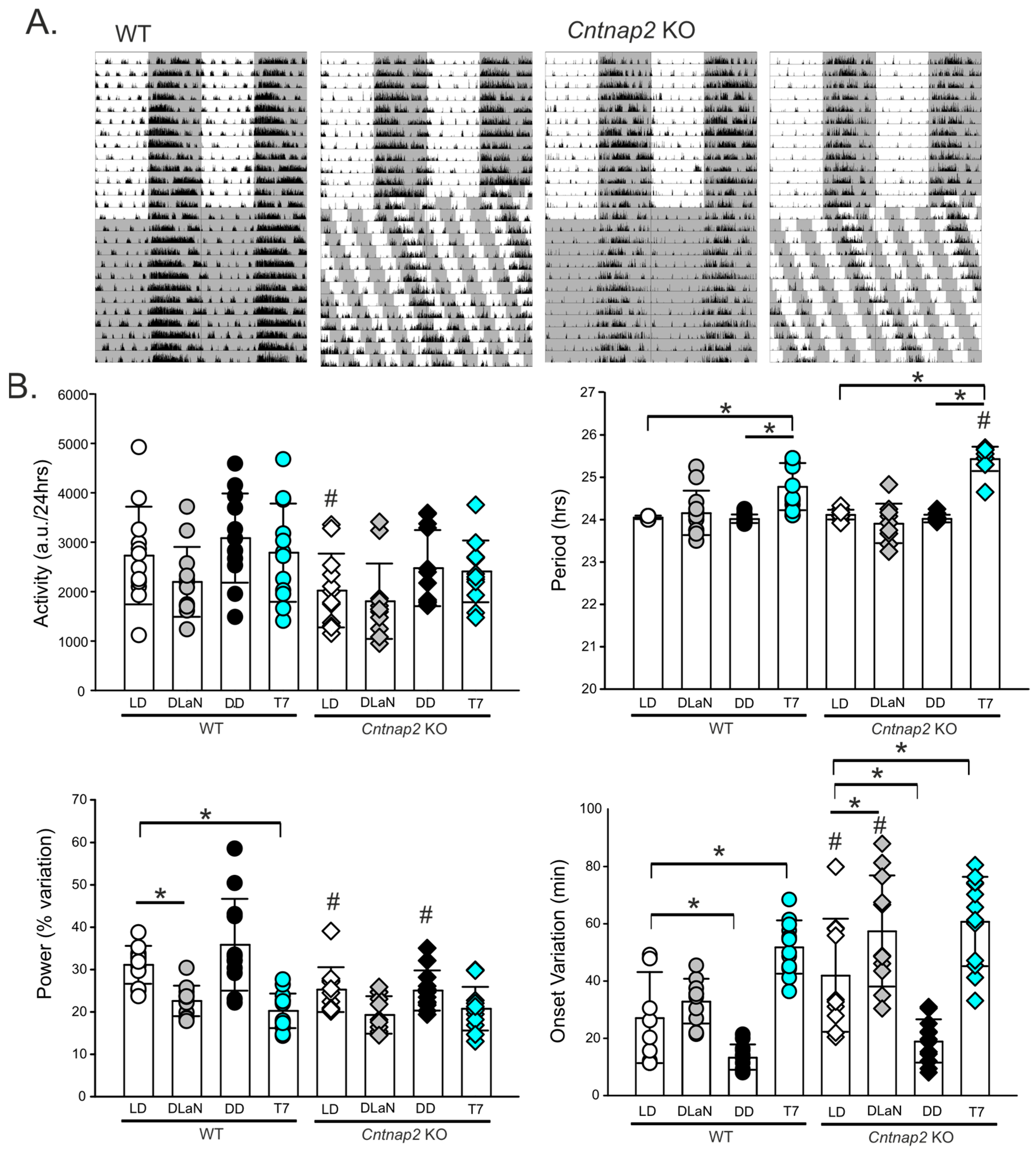 Clockssleep 07 00048 g003