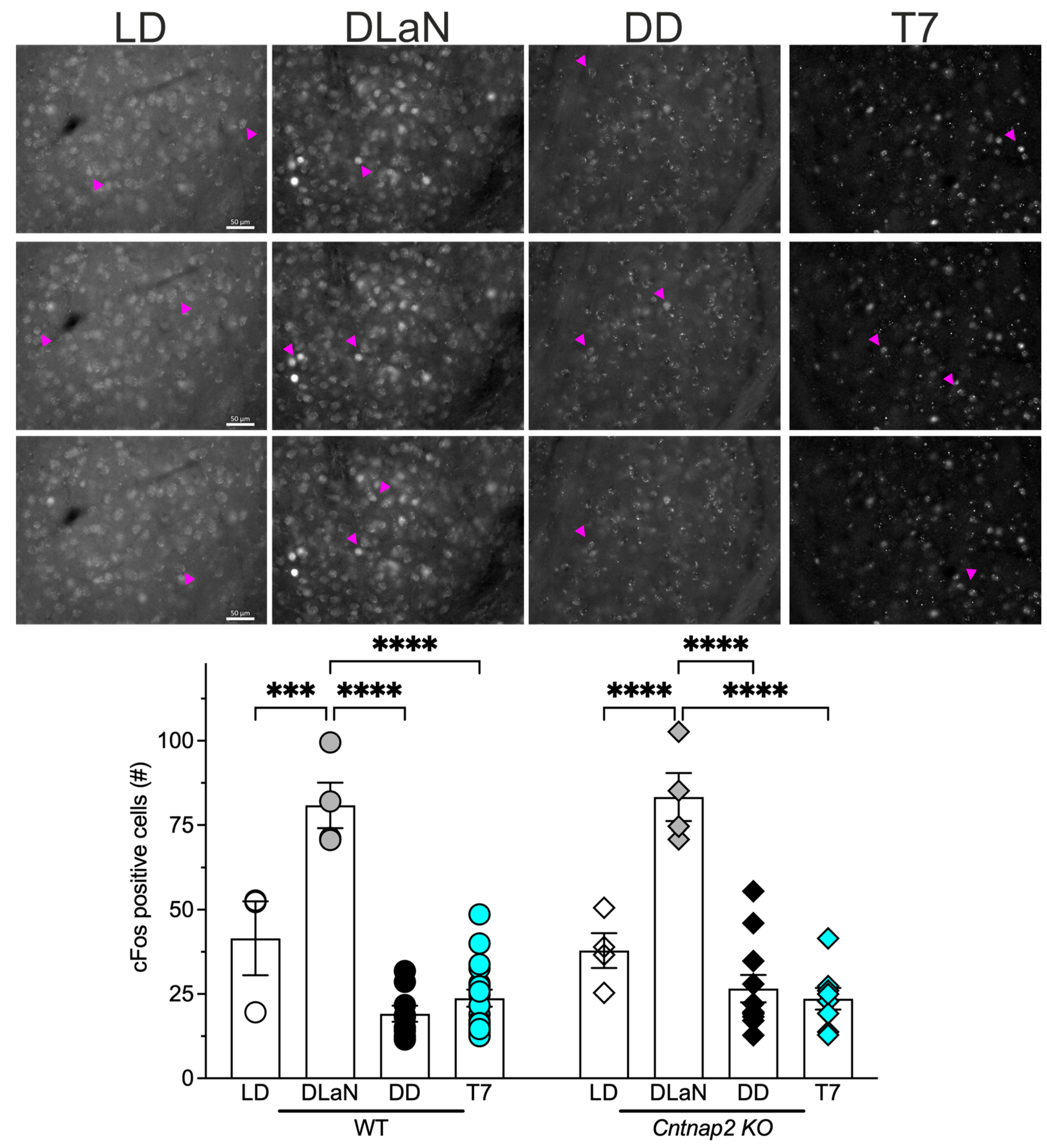 Clockssleep 07 00048 g005
