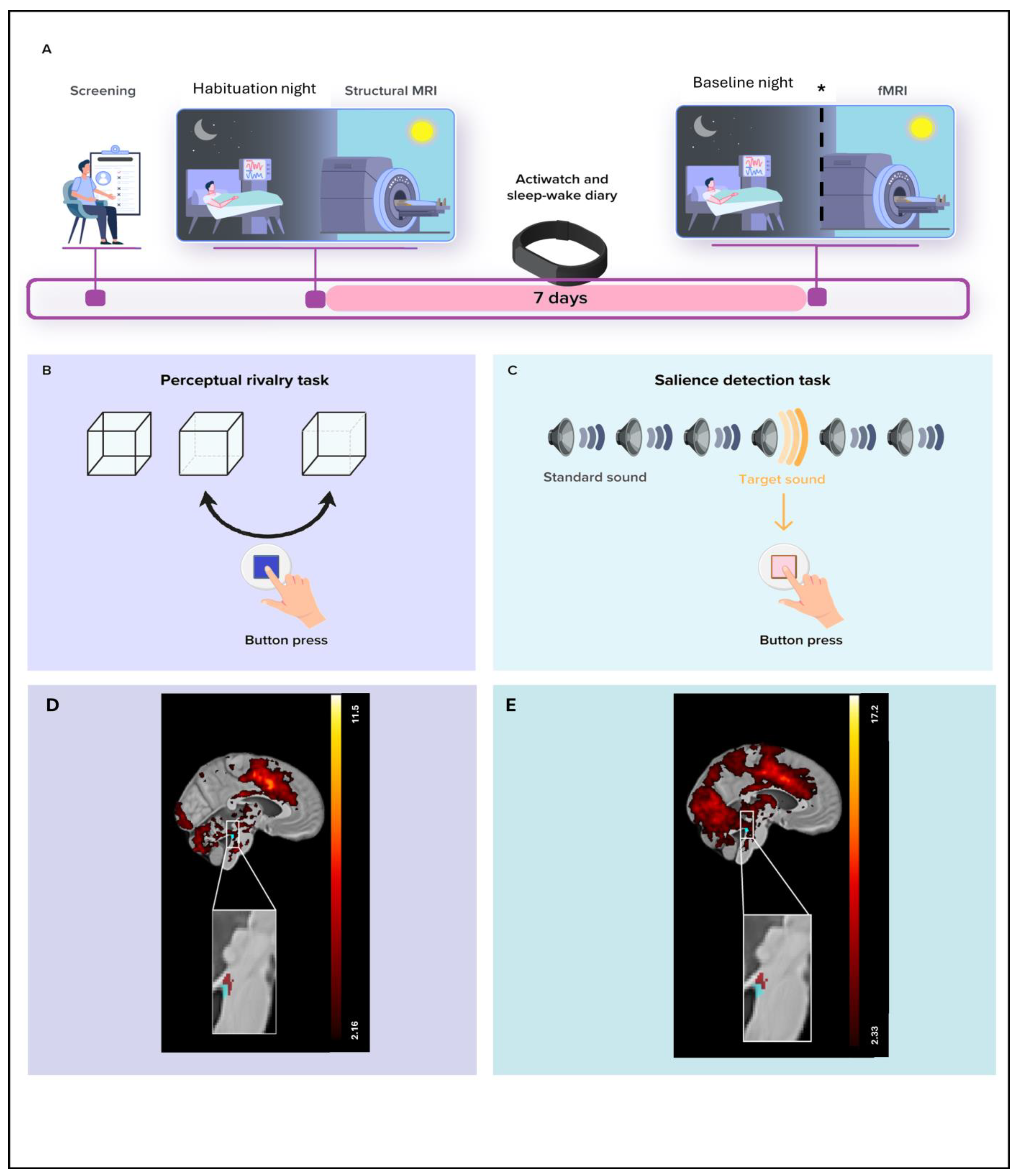 Clockssleep 07 00053 g001