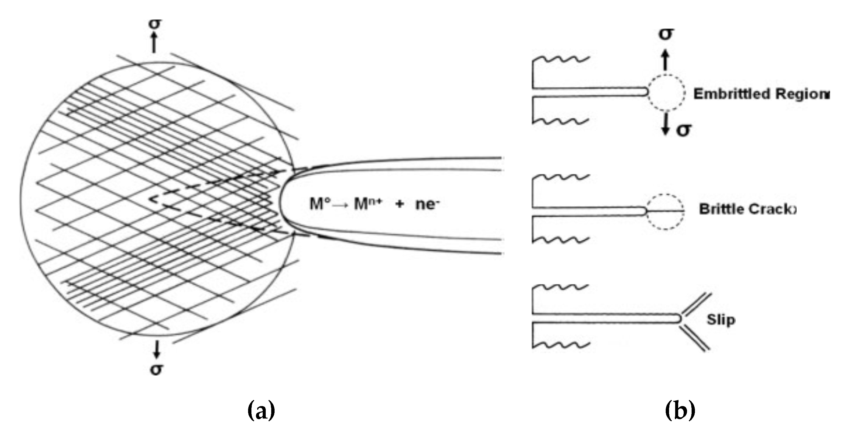 Cmd 01 00011 g003 Cmd 01 00011 g003