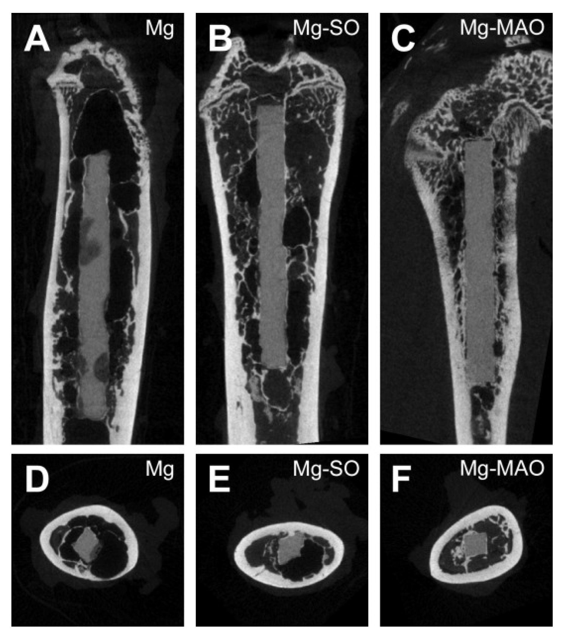 Cmd 01 00011 g019 Cmd 01 00011 g019