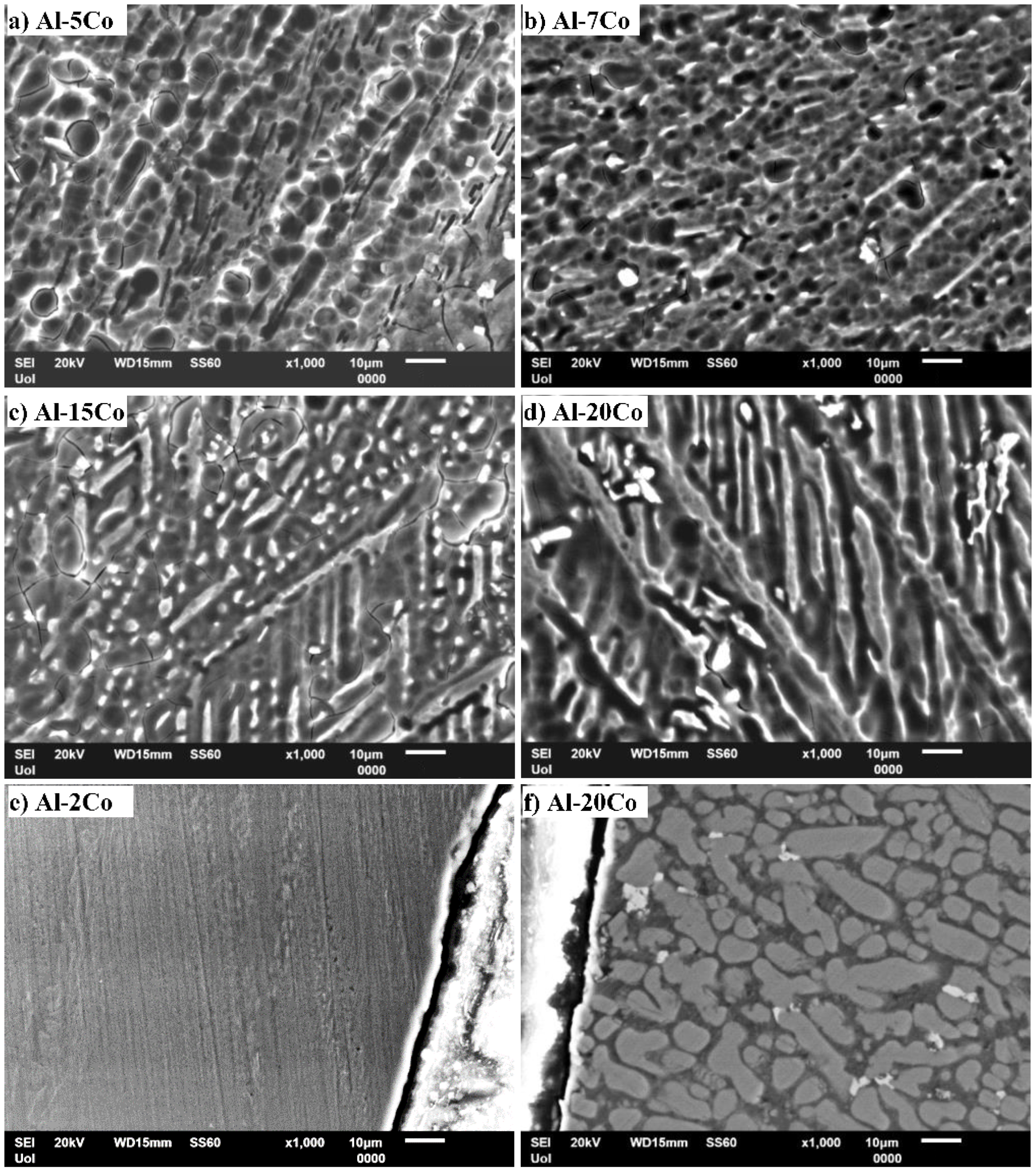 Cmd 01 00012 g003 Cmd 01 00012 g003