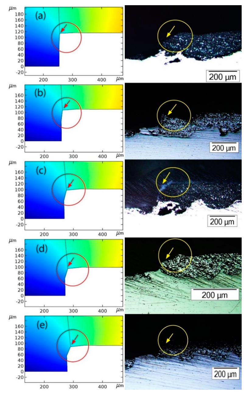 Cmd 01 00013 g003 Cmd 01 00013 g003